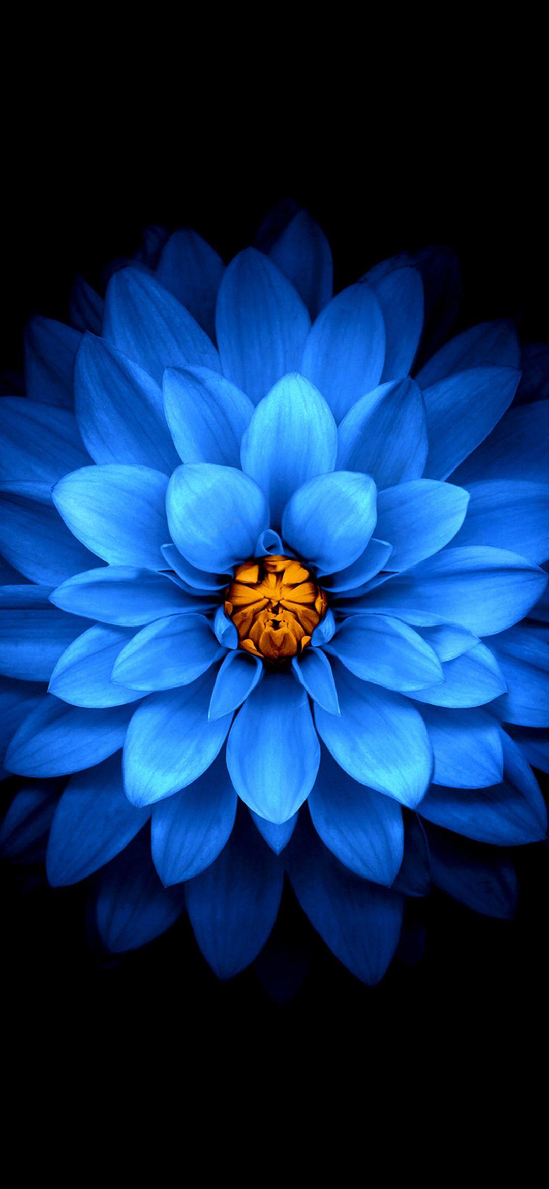 1080x2340 Background HD Wallpaper
