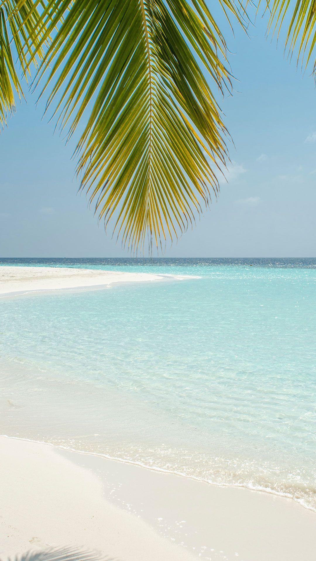 1080x1920 Searching for some beautiful tropical #beach wallpaper? Here's a free one for your iPhone or Android phone. Beach scenery, Summer beach wallpaper, Beach wallpaper
