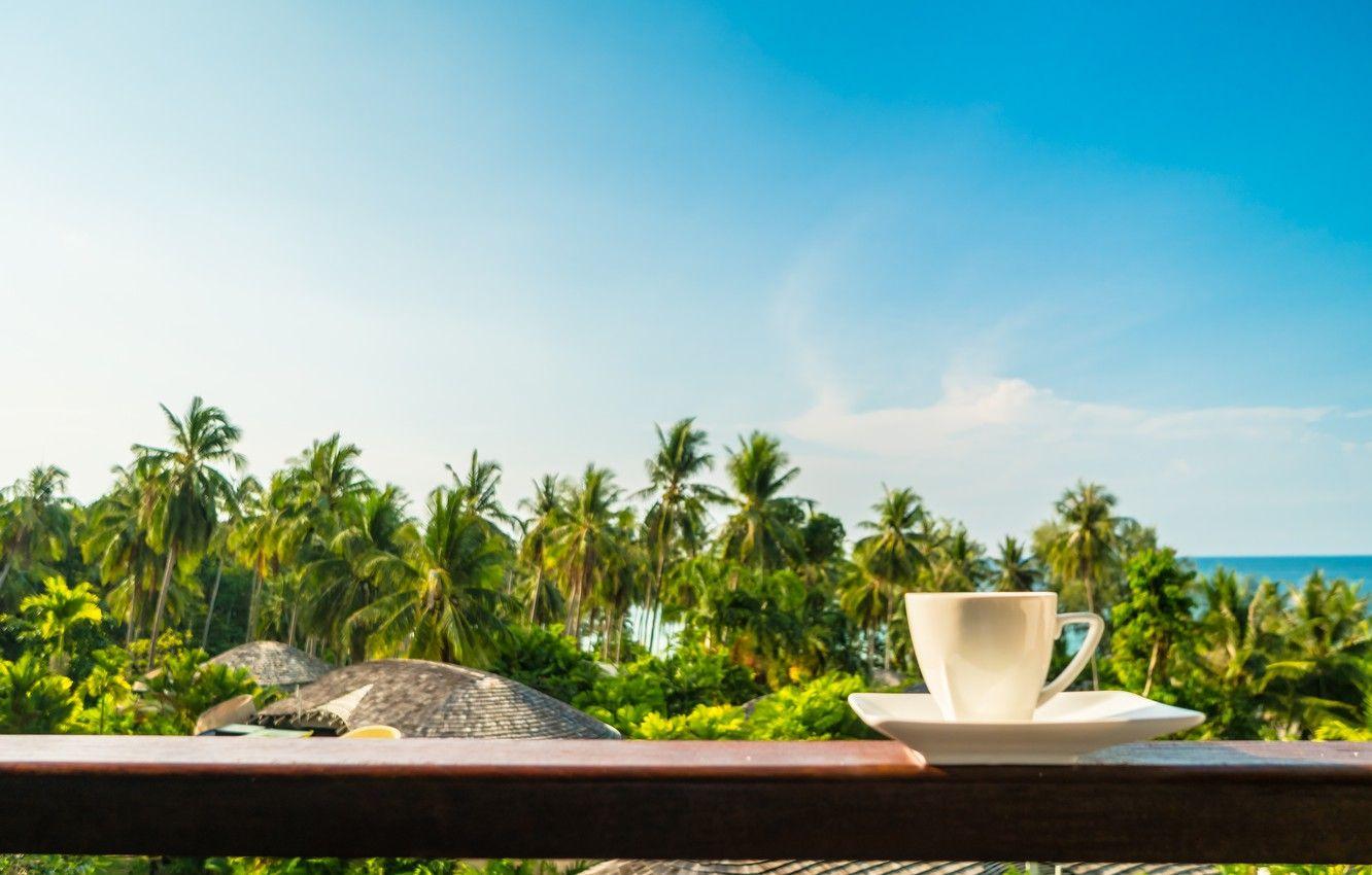1332x850 Wallpaper sea, beach, summer, palm trees, stay, shore, coffee, morning, Cup, balcony, summer, beach, vacation, sea, cup, paradise image for desktop, section настроения