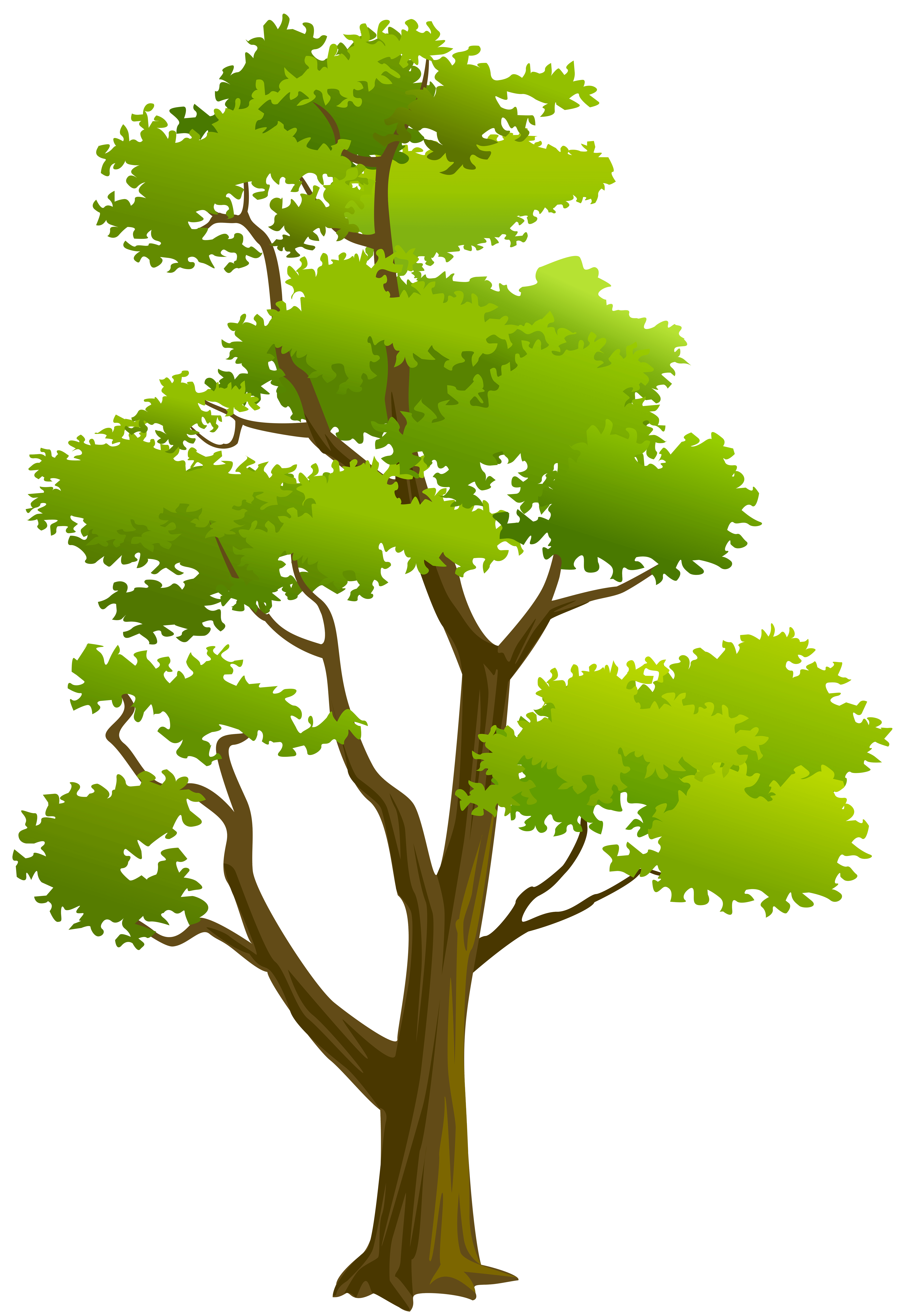 5498x8000 Tree PNG Clip Art Quality Image And Transparent PNG Free Clipart. Ilustrasi Pohon, Ilustrasi, Gambar