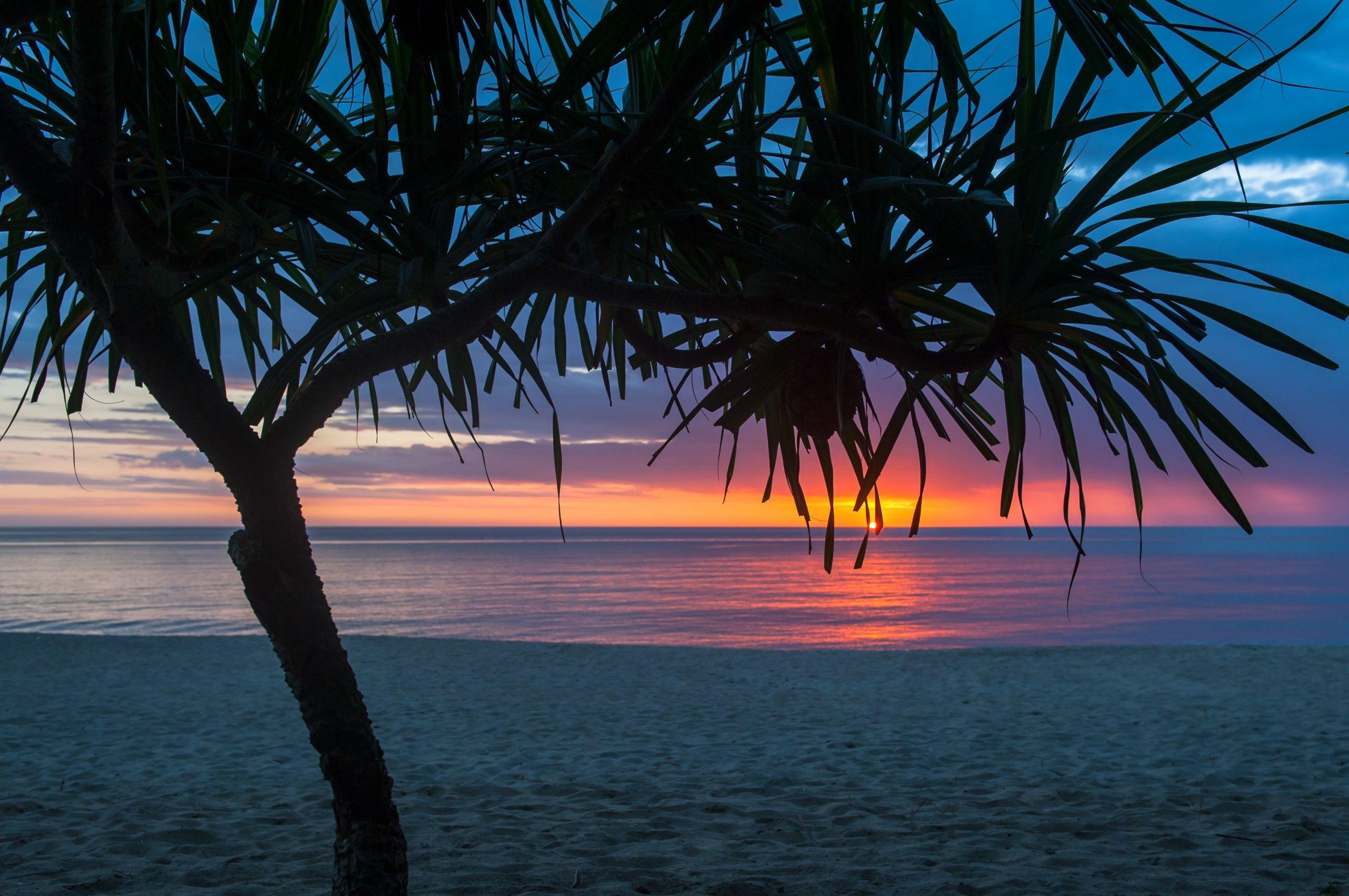 2560x1700 Chromebook Summer Wallpaper