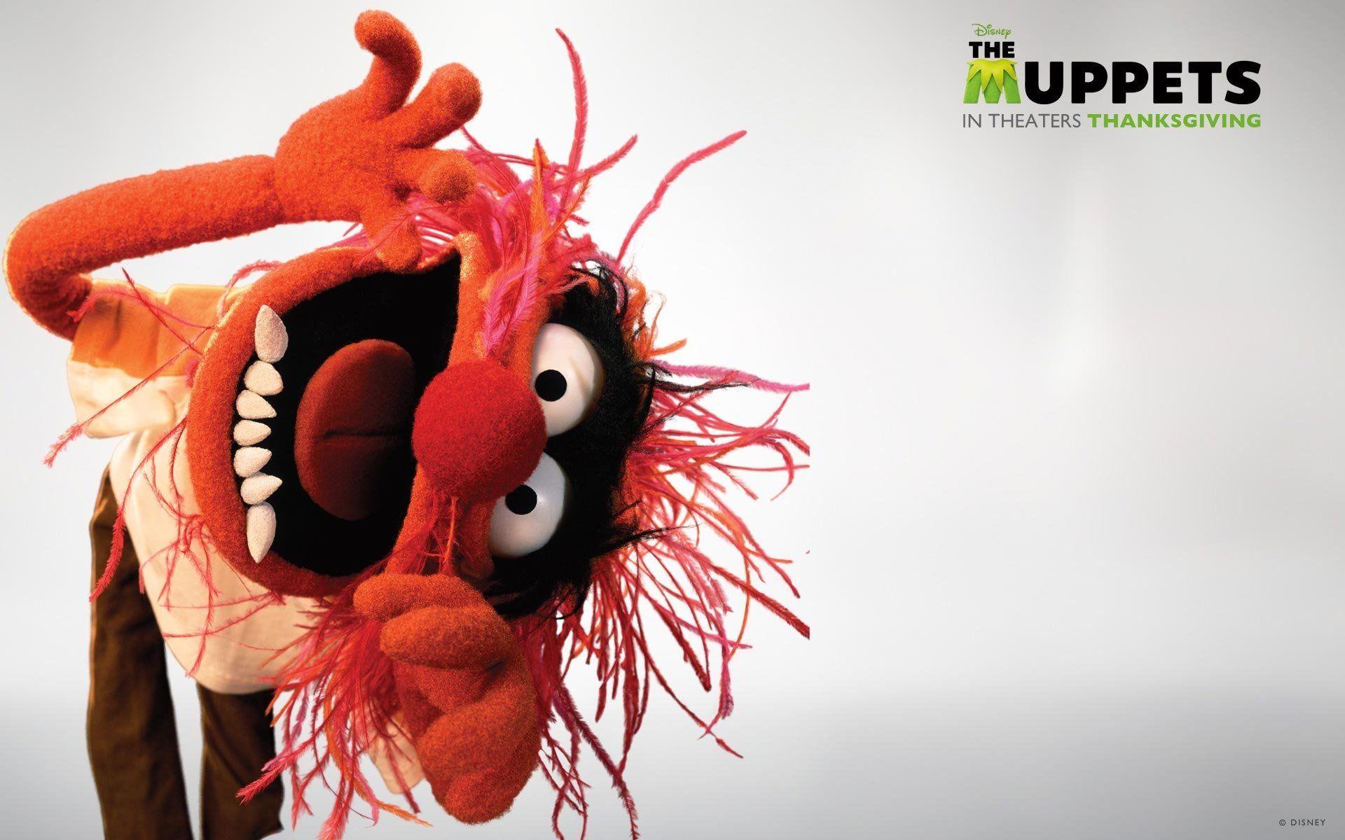1920x1200 Muppet Show Wallpaper. Muppet Treasure Island Wallpaper, Muppet Desktop Background and Muppet Babies Wallpaper