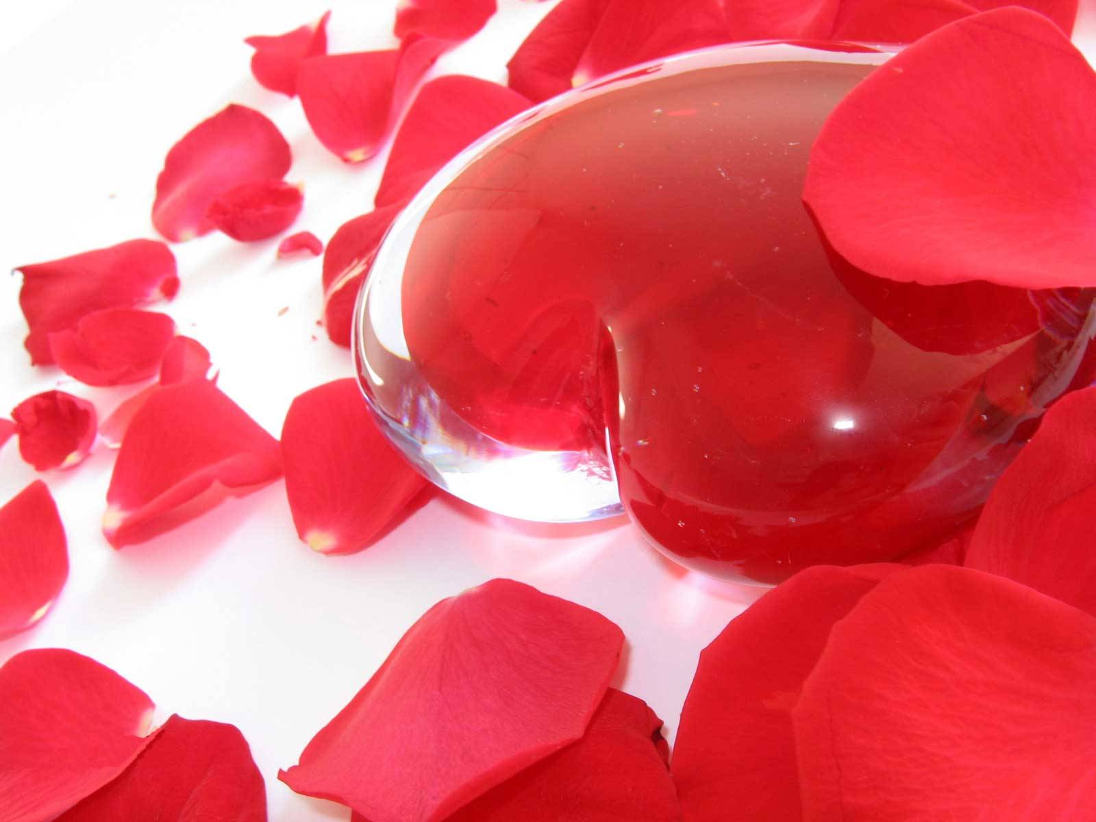1600x1200 Cardiac Wallpaper. Cardiac Wallpaper, LinkedIn Cardiac Background Wallpaper and Cardiac Medical Background