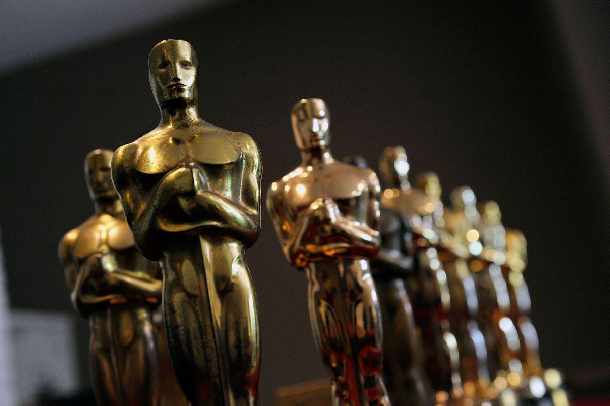 1200x799 Oscar wallpaper, Animal, HQ Oscar pictureK Wallpaper 2019