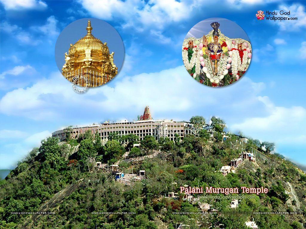 1024x768 Palani Murugan Temple Wallpaper, Photo & Image Download. Photo image, Photo, Image