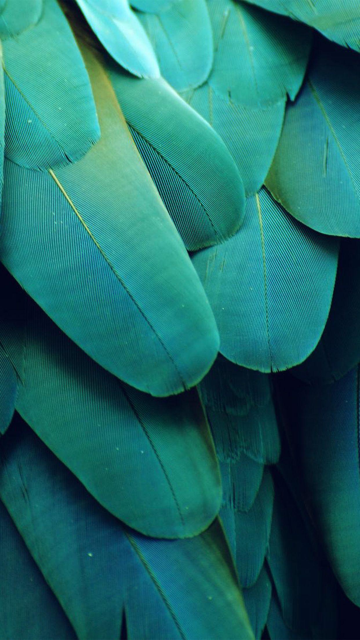 1242x2208 meizu feathre green nature texture animal pattern