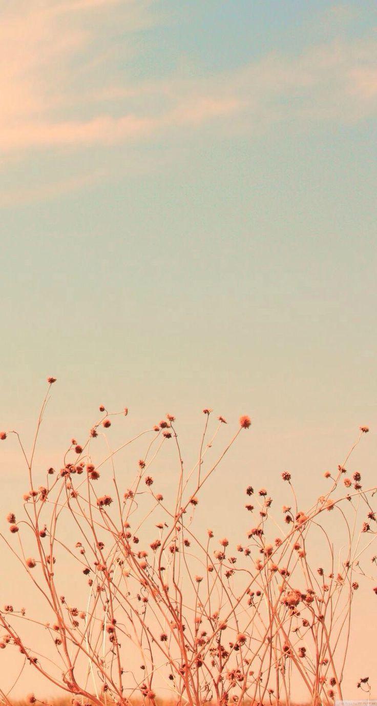 736x1376 iPhone Wallpaper HD Vintage