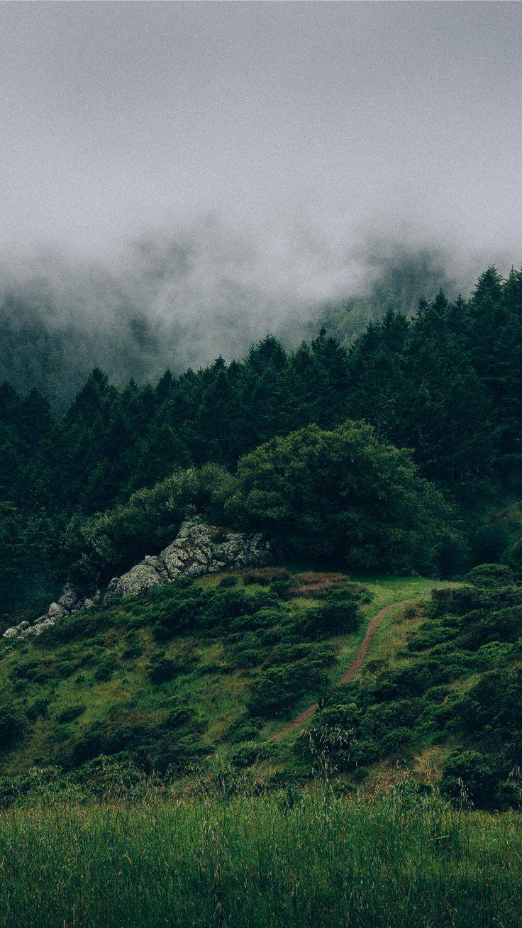 736x1308 Beautiful Back to Nature iPhone 7 Wallpaper on Inspirationde