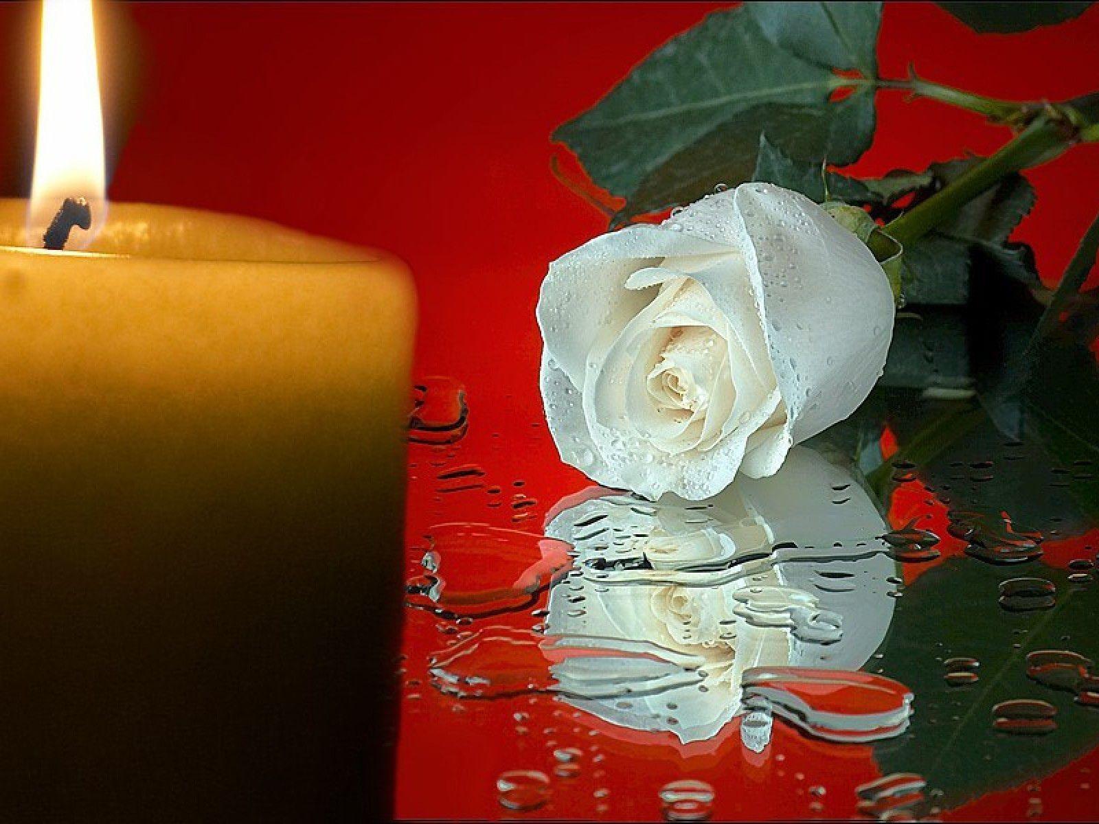 1600x1200 Live White Roses and Candles Wallpaper .