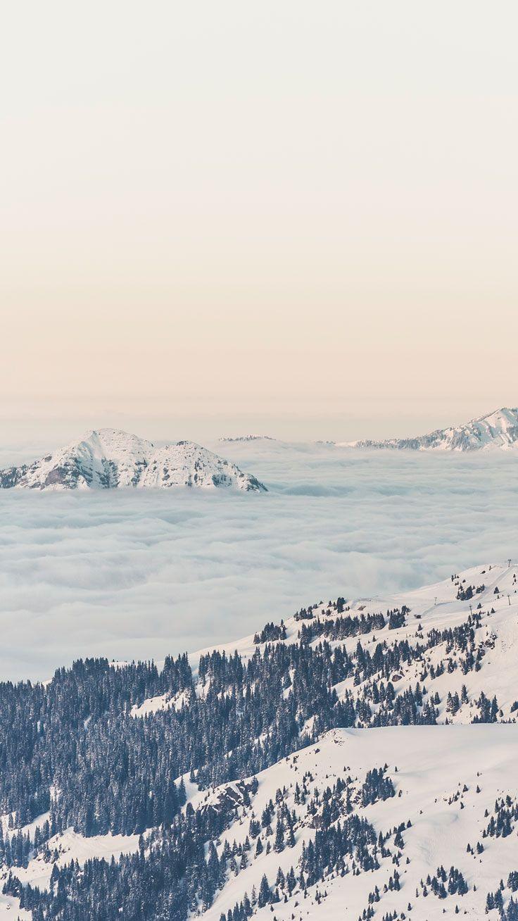 736x1308 Adventurous Forest & Mountain iPhone 7 Wallpaper