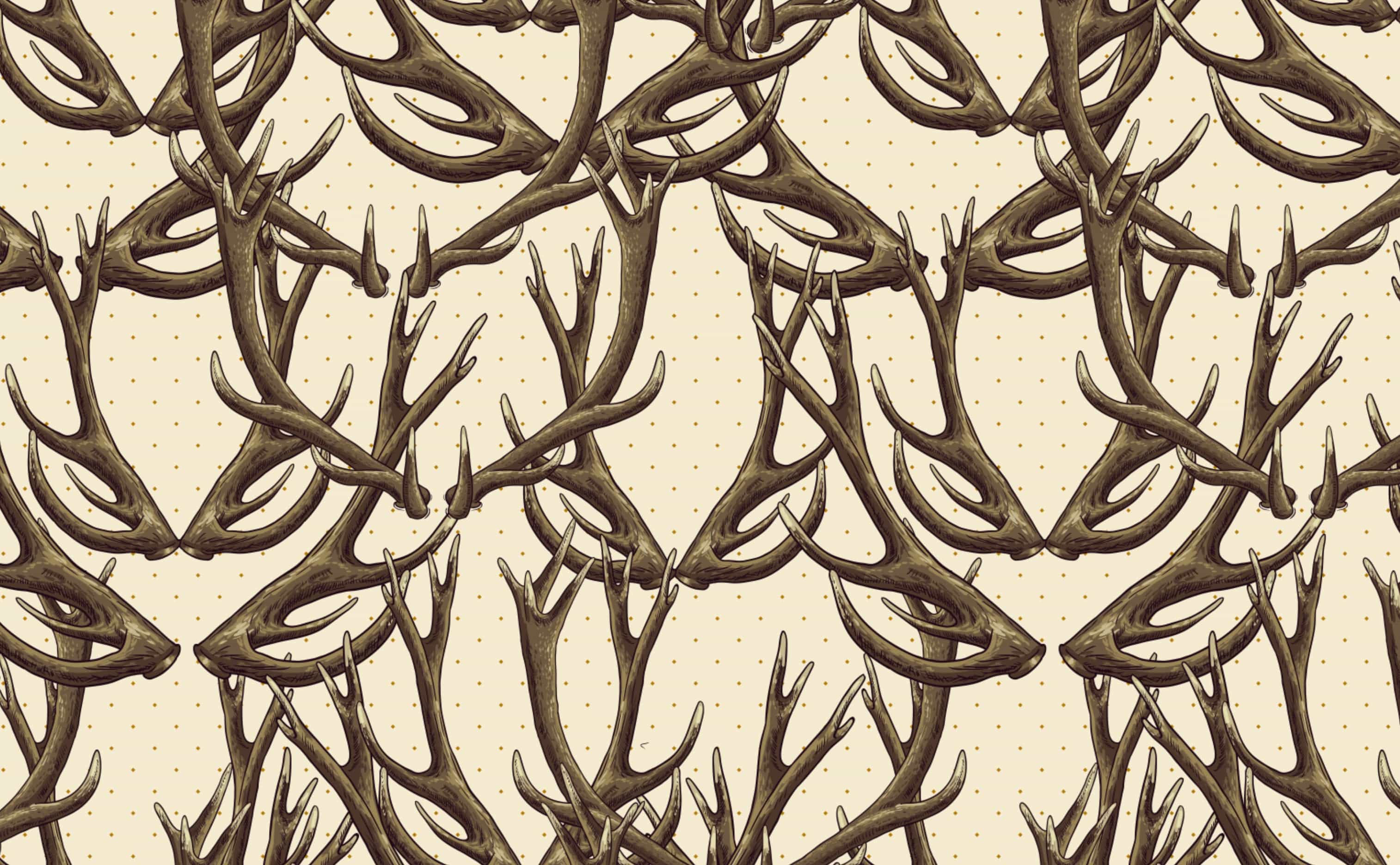 3028x1872 Deer Antlers Wallpaper for Walls