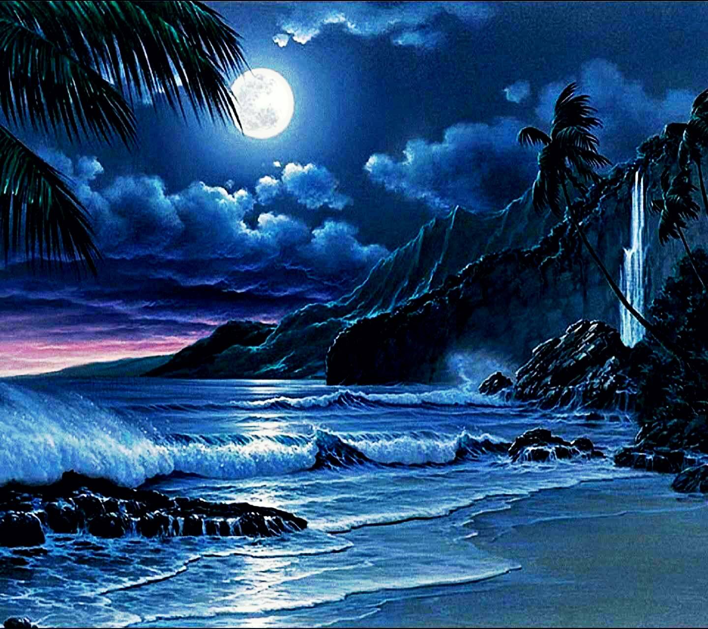 1440x1280 Beautiful Night wallpaper
