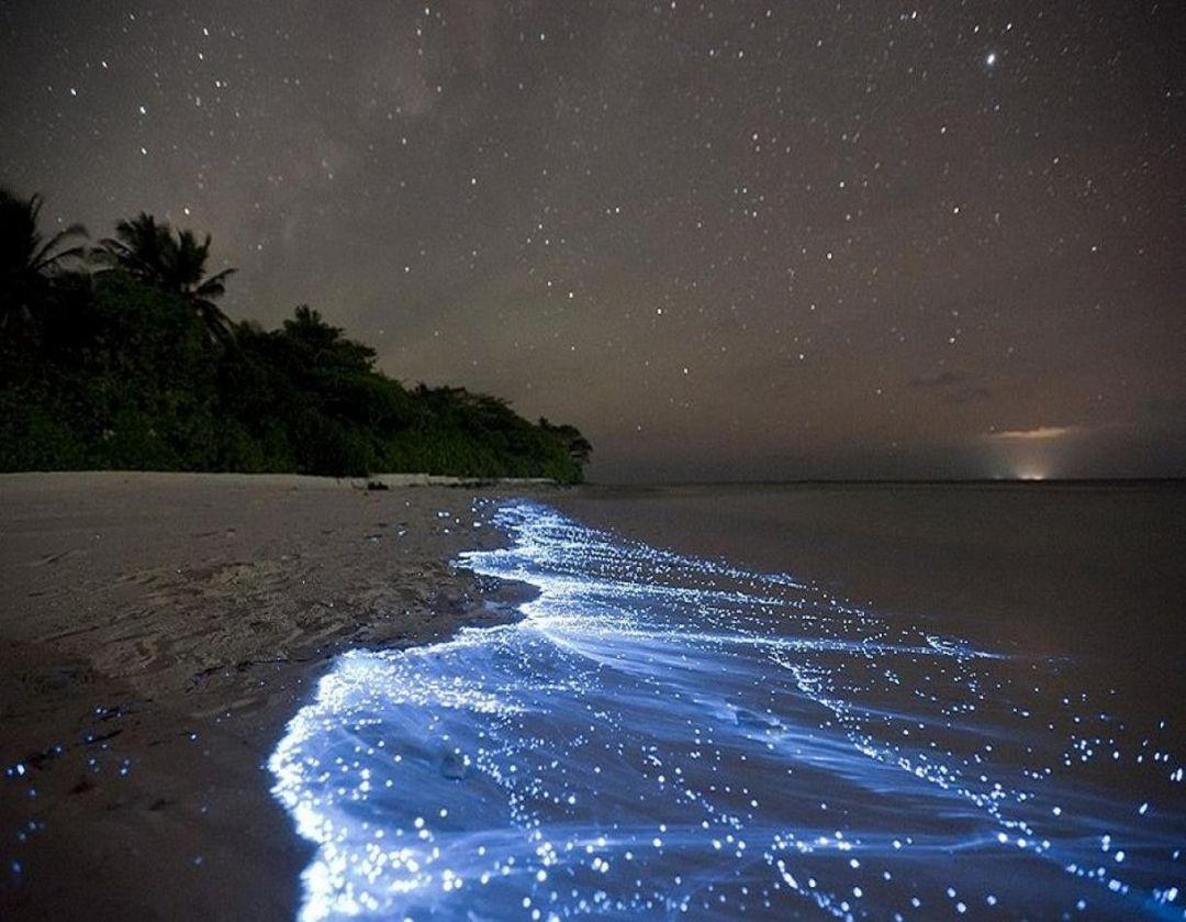 1080x839 Beaches: Night Beach Beautiful Sand Nature Sea Blue Maldives / iPhone HD Wallpaper Background Download (1220x948) (2021)