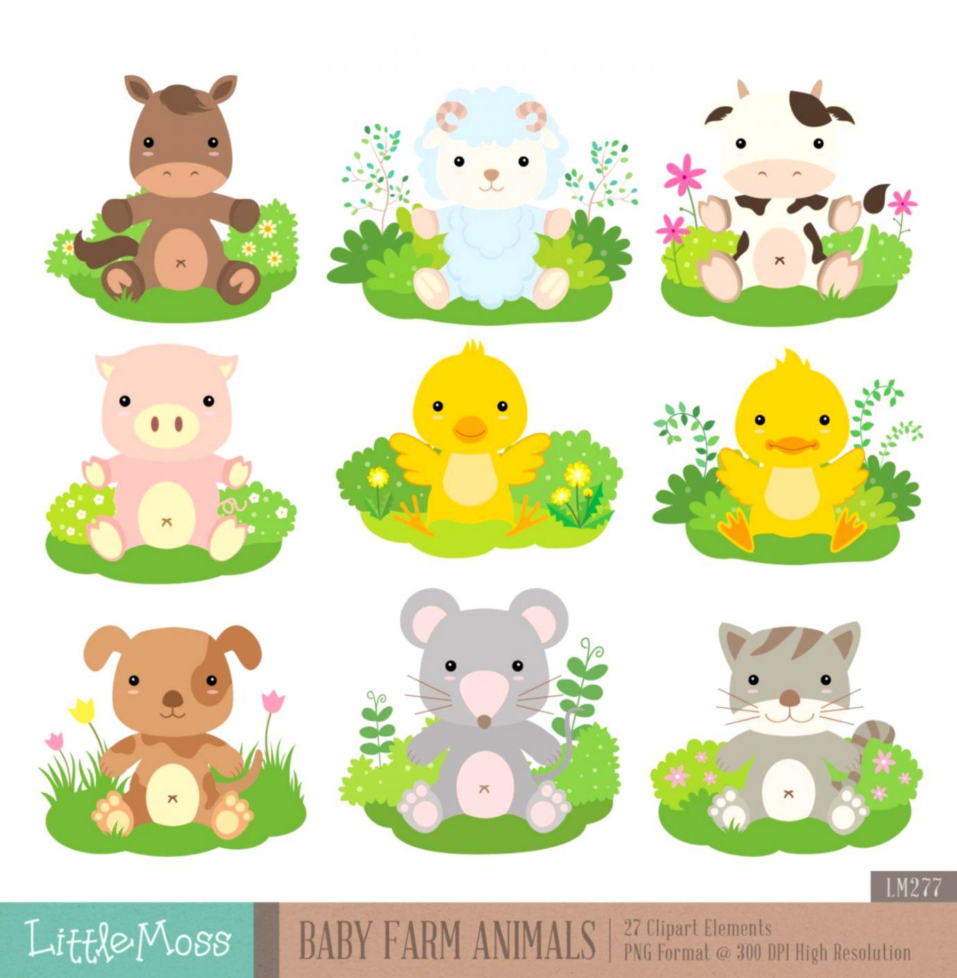 Cute Baby Animal Farm Wallpapers Top Free Cute Baby Animal Farm