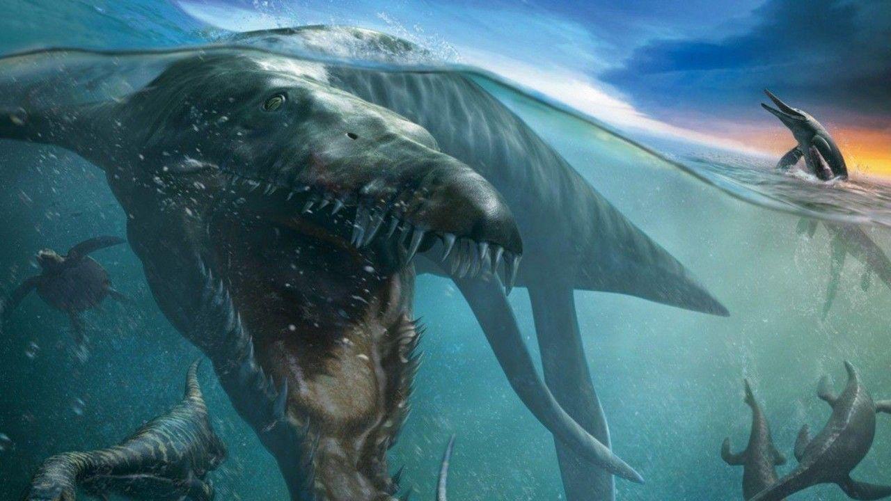 1280x720 Dinosaurs Are In The Sea HD Dinosaur Wallpaper</a> Wallpaper