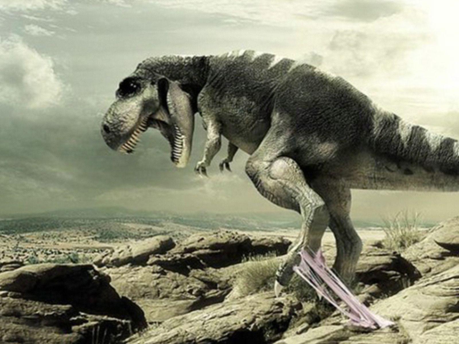 1600x1200 Funny Dinosaur Picture