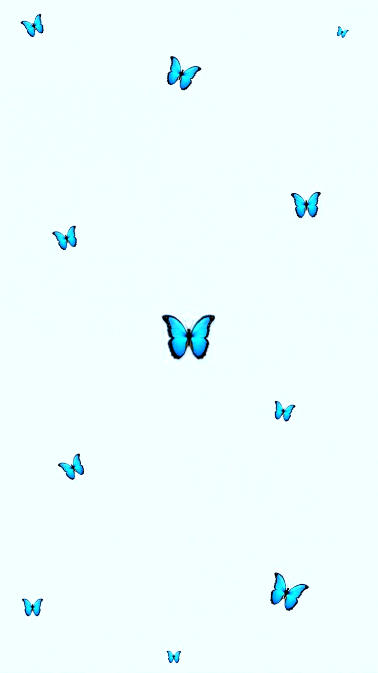 750x1334 aesthetic #butterfly #wallpaper #tumblr #babyblue #blue #minimalistic. Blue butterfly wallpaper, Baby blue wallpaper, Cute blue wallpaper