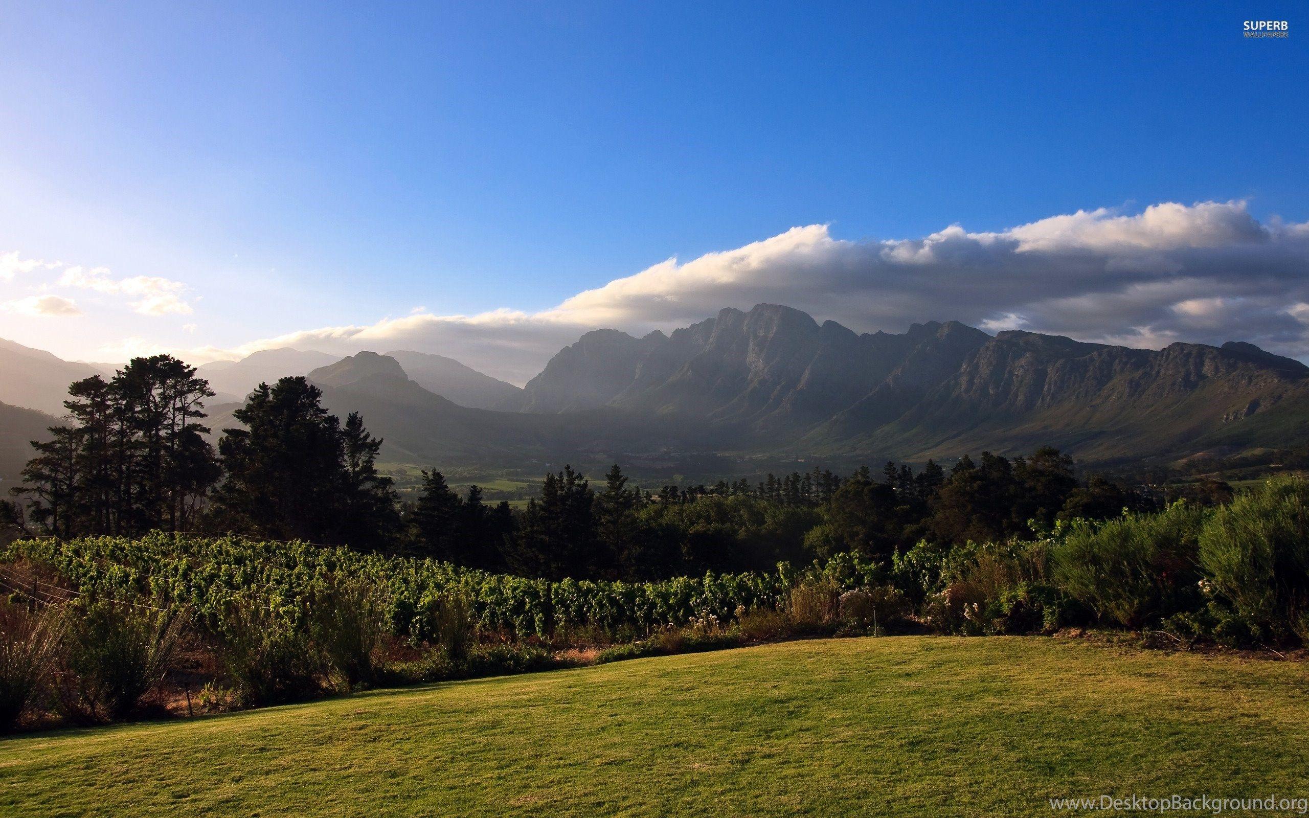 2560x1600 Summer Mountain Scenery : Desktop And Mobile Wallpaper : Wallippo Desktop Background