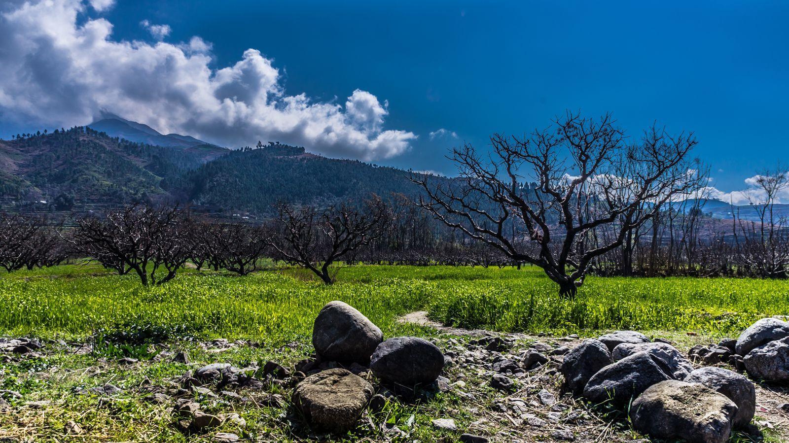 1600x899 Nature Outdoors Landscape Grass Rocks Mountain Summer Field Scenic Countryside Woods Scenery Wallpaper.com. Best High Quality Wallpaper