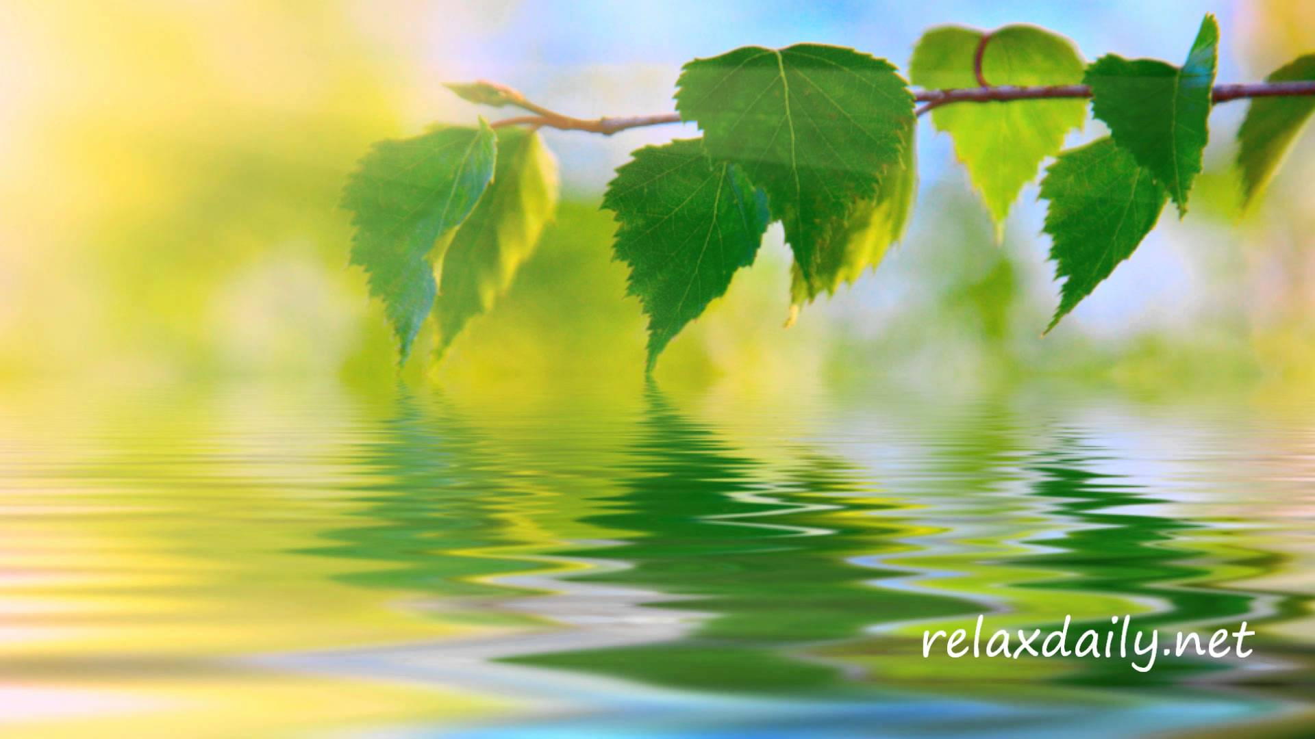 1920x1080 Free download Calm Music Slow Peaceful Background Music relaxdaily N042 [1920x1080] for your Desktop, Mobile & Tablet. Explore Calm Background Image. Calm Background Image, Calm Background, Calm Wallpaper