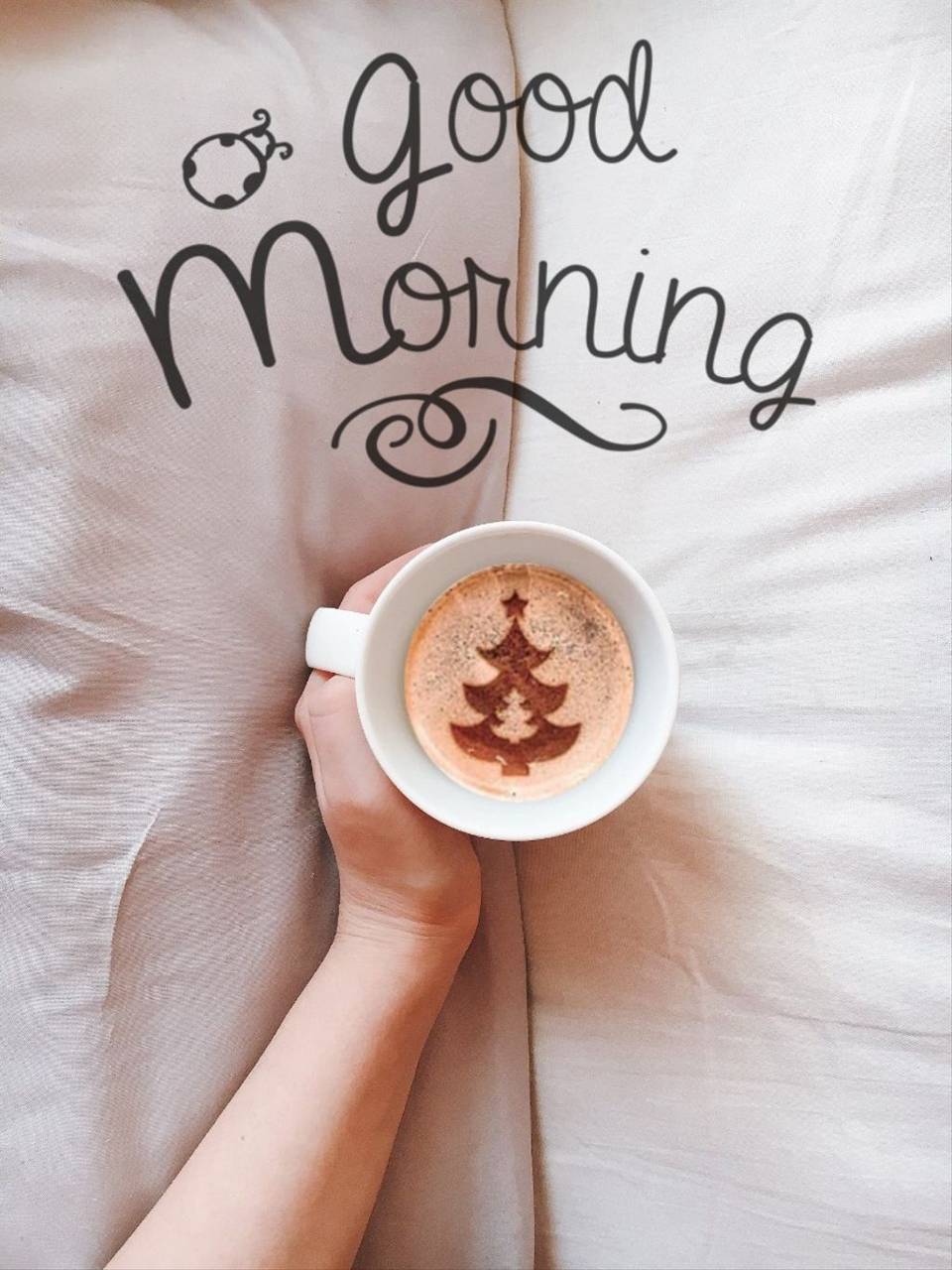 Good Morning  Cup Of Tea Wallpaper Download  MobCup