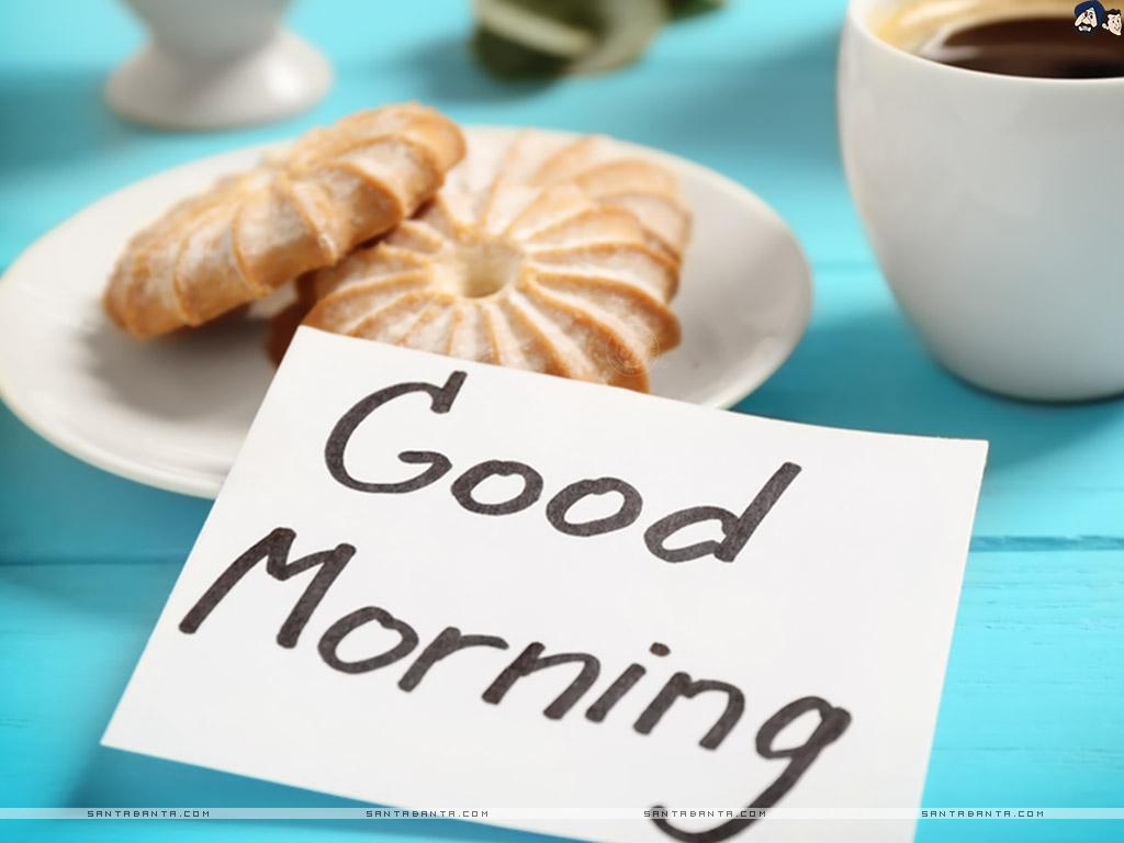 1024x768 Good Morning Wallpaper