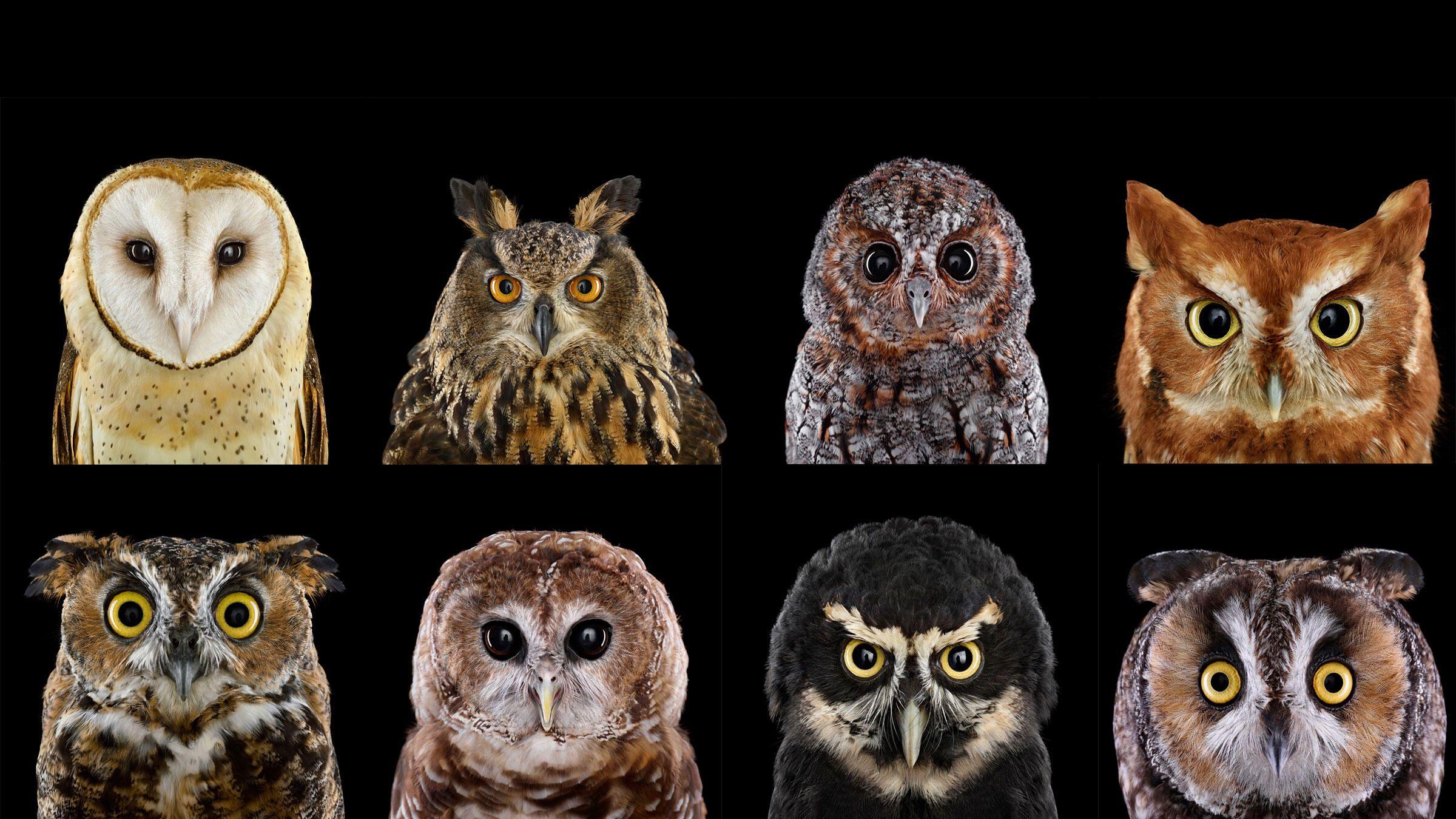 2400x1350 Who's Who