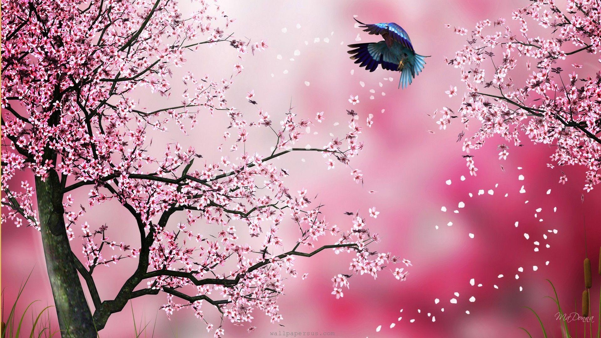 1920x1080 Cherry Blossom Desktop Background. Beautiful Widescreen Desktop Wallpaper, Desktop Wallpaper and Naruto Desktop Background