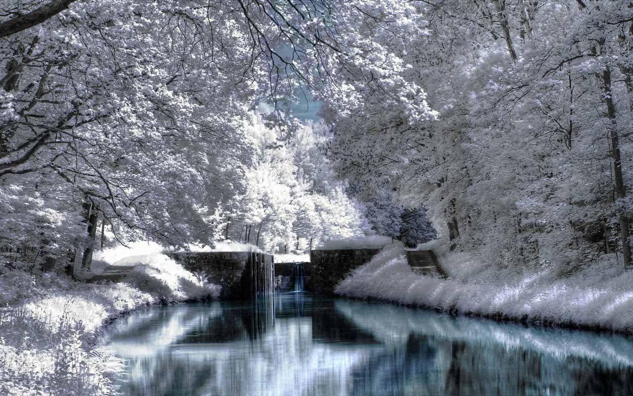 1280x800 Frozen forest in Maine [1280×800] #reddit. Winter scenery picture, Winter scenes, Winter scenery