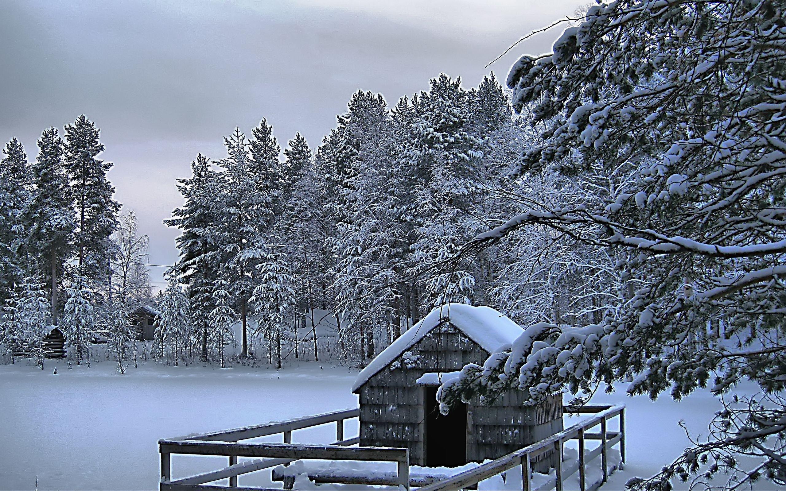 2560x1600 Beautiful Winter Scenes Desktop Wallpaper Wallpaper Winter Scene