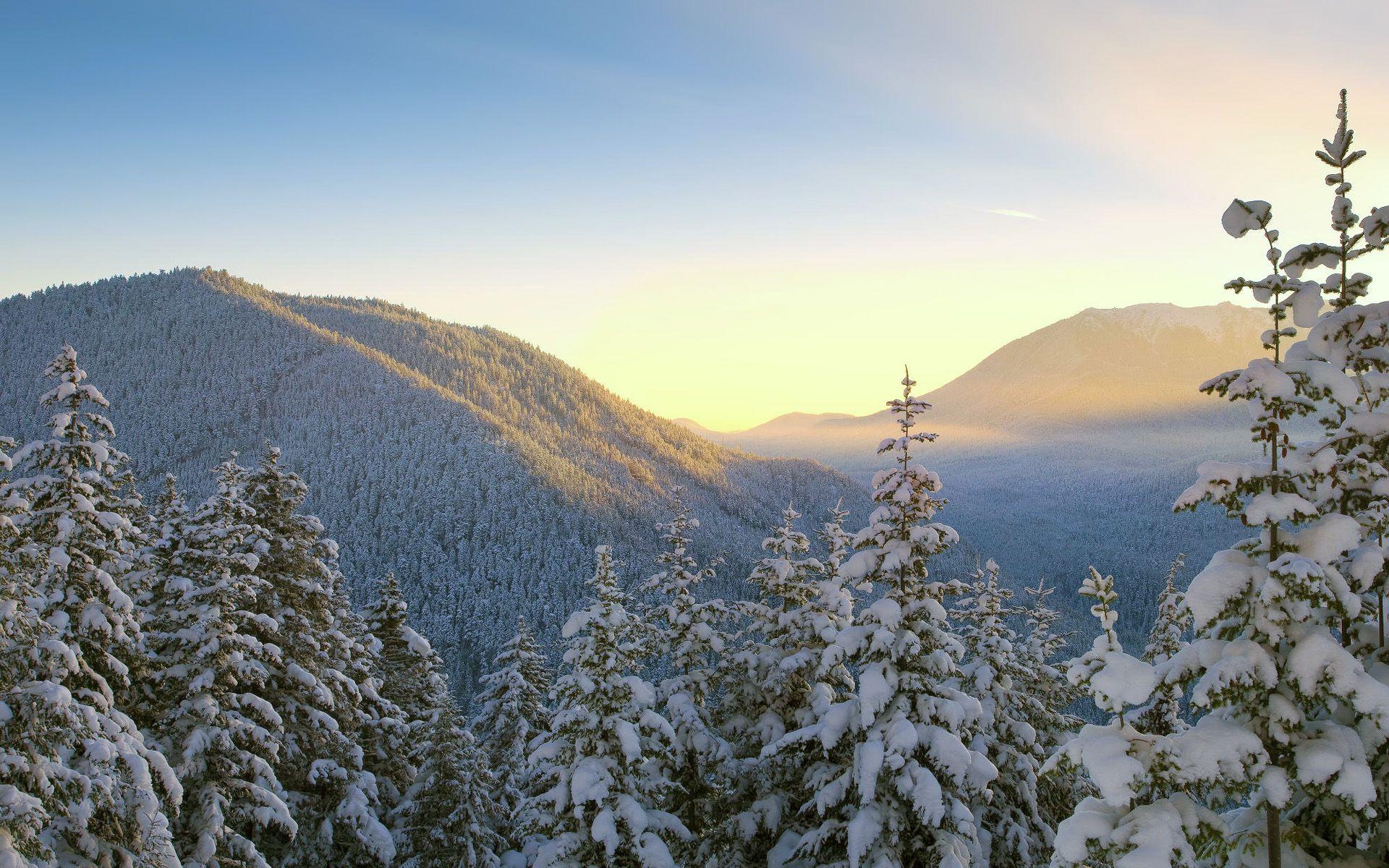 1920x1200 Winter Scenery Desktop Wallpaper 18716 1920x1200px