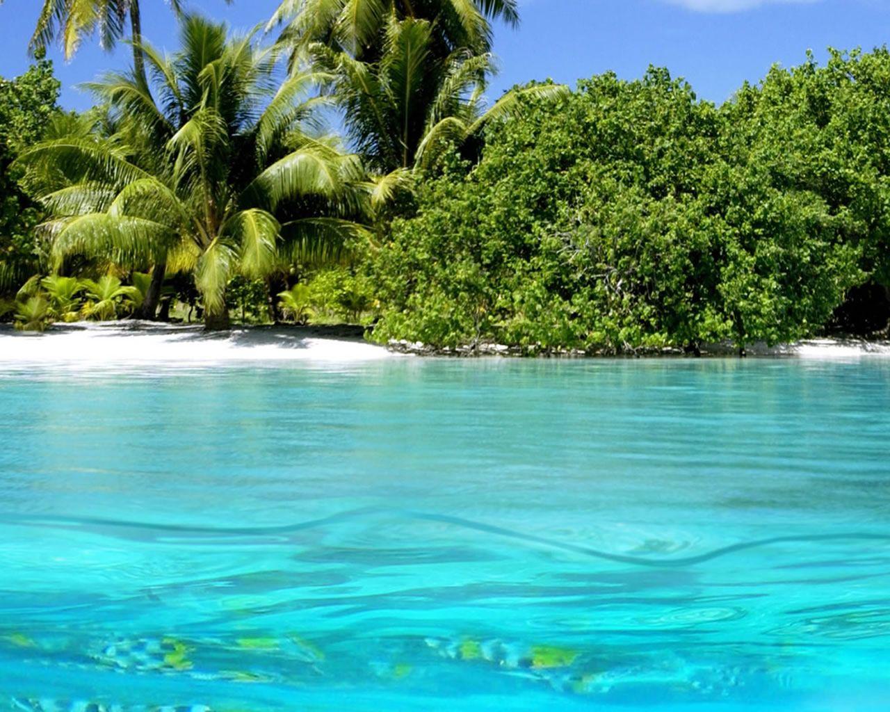 1280x1024 Summer Wallpaper For Desktop