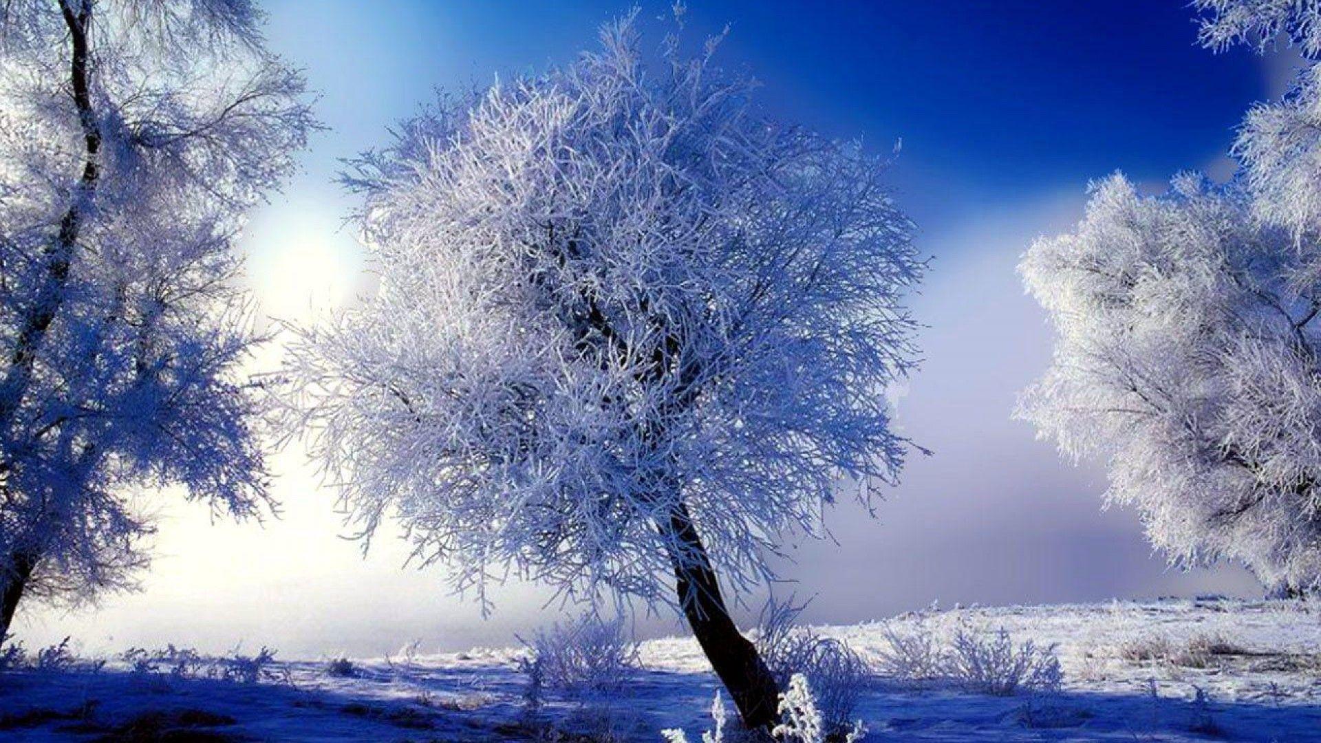 1920x1080 Winter Scenery Desktop Background .