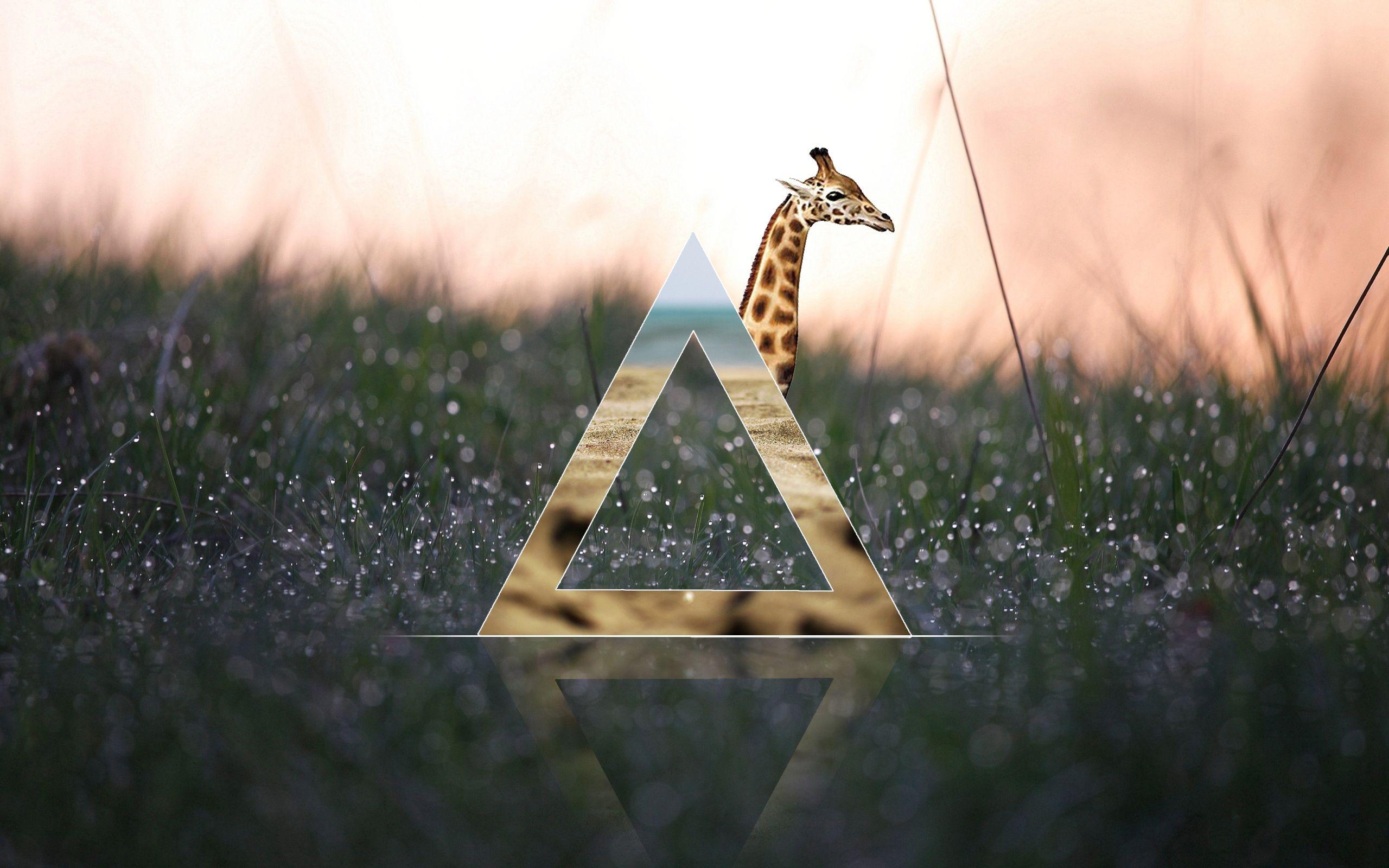 2560x1600 Hipster Wallpaper Laptop : tumblr laptop backgrounddownload free full hd