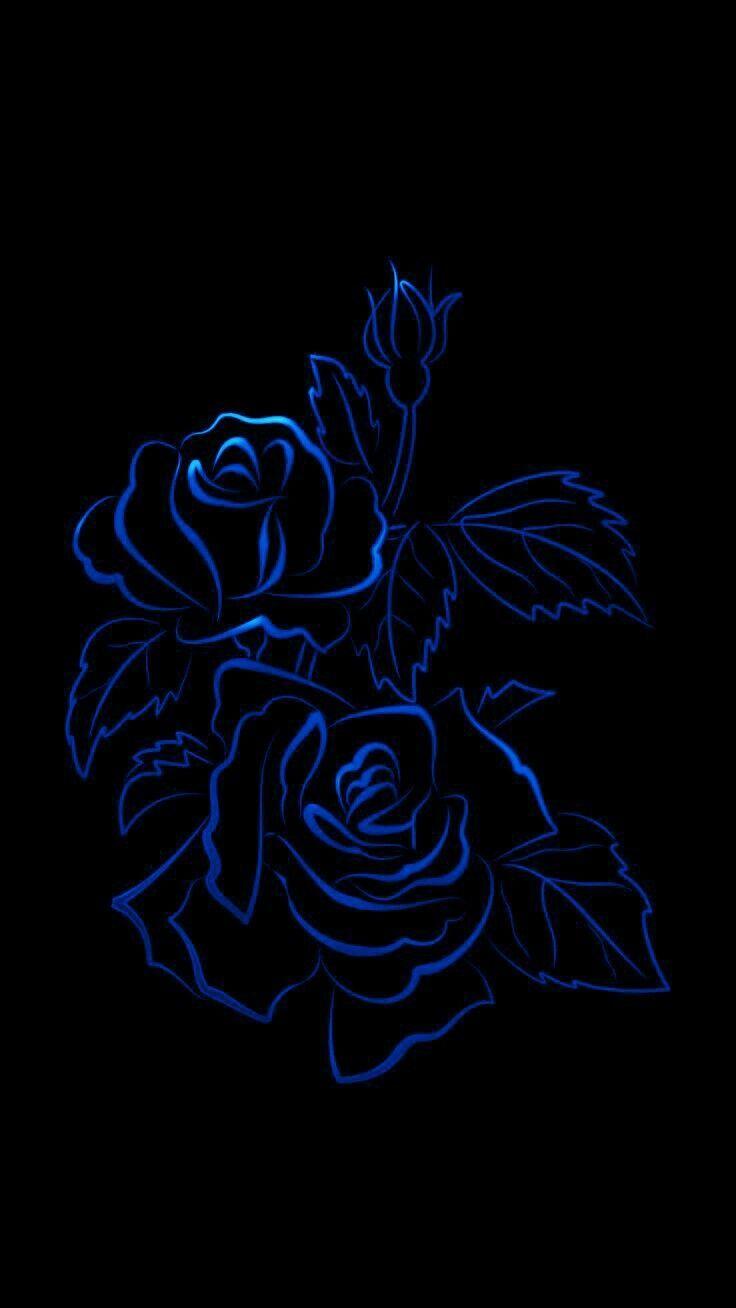 736x1308 iPhone Dark Blue Rose Wallpaper