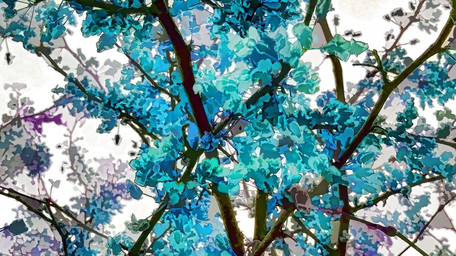 1600x900 Turquoise Floral HD Turquoise Wallpaper