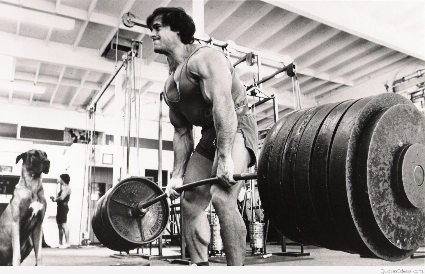 1440x927 gym wallpaper hd, weightlifting, weight training, deadlift, physical fitness, powerlifting