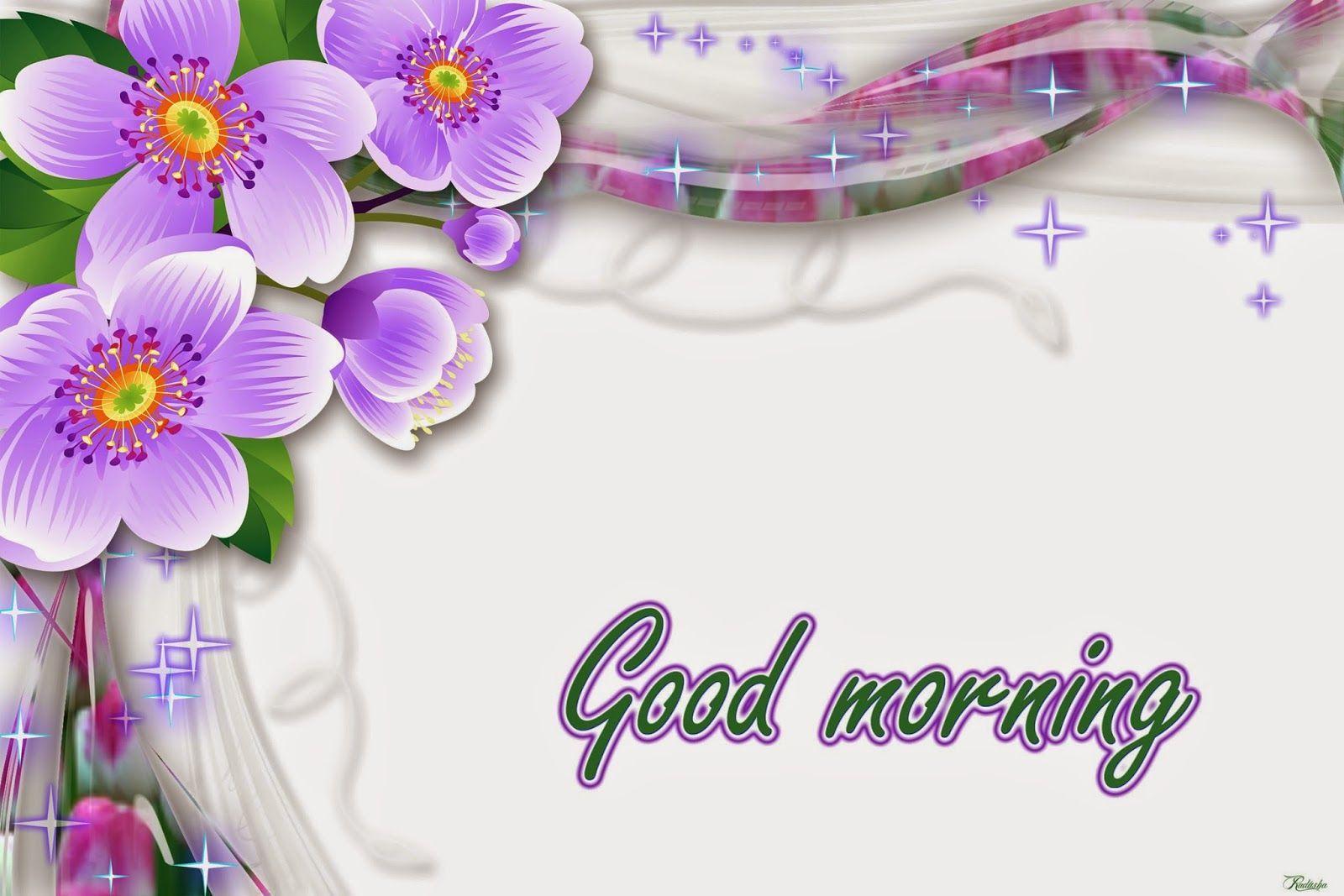 1600x1067 Good Morning Image, phần 1. Hình nền chào buổi sáng, Chào buổi sáng những bông hoa đẹp, Chào buổi sáng đẹp https://wallpaperaccess.com/full/5965959.jpg