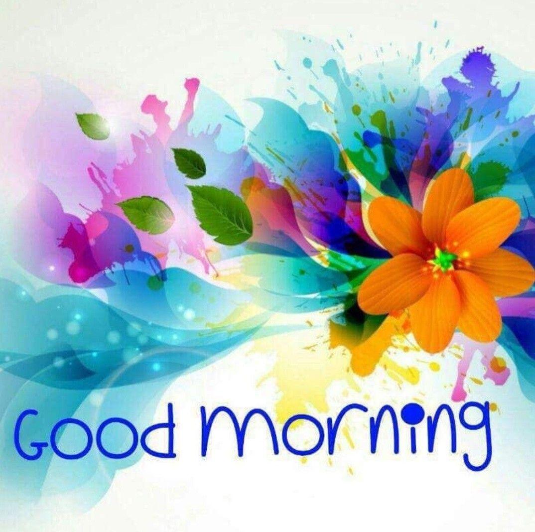 1074x1068 Good Morning. Good morning flowers, Good morning wallpaper, Good morning photo