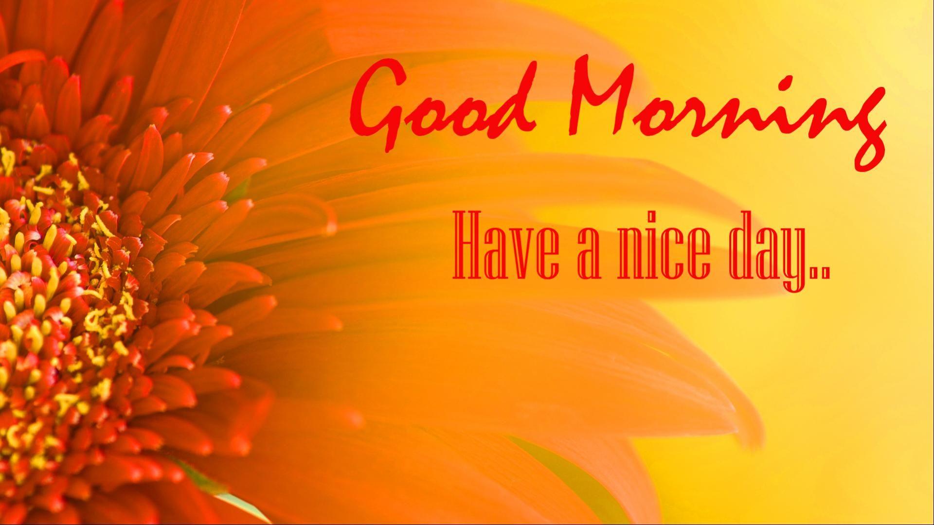 1920x1080 Good Morning Pic Full HD 1080p https://wallpaperaccess.com/full/5966021.jpg