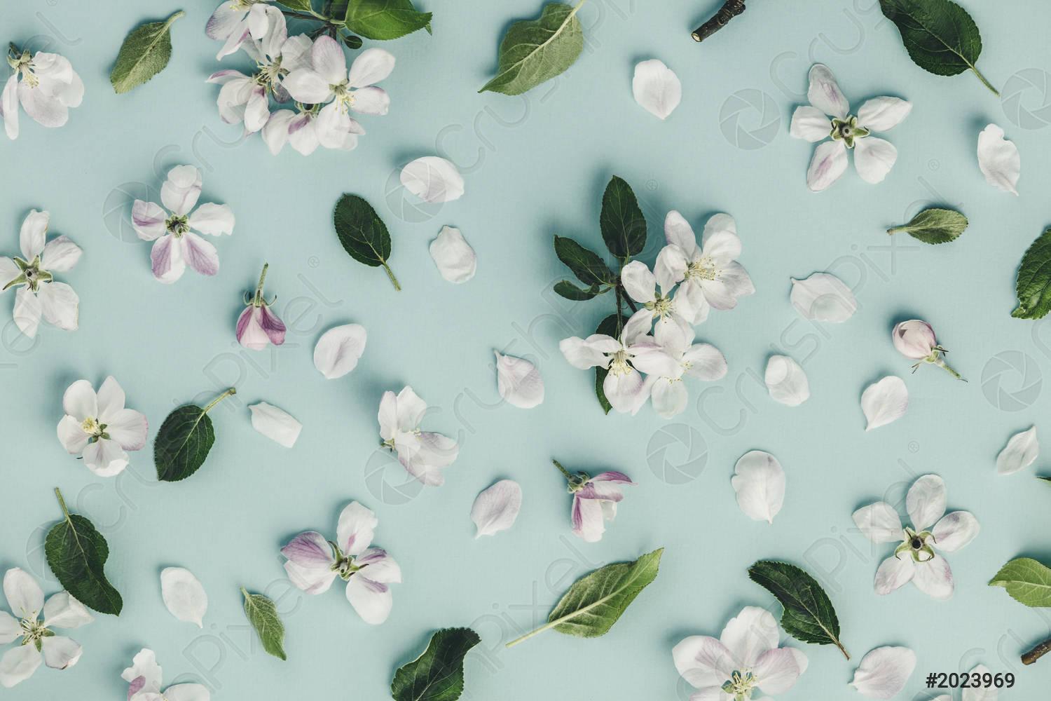 1500x1000 Spring Floral Background, Texture And Wallpaper Flat Lay Of White