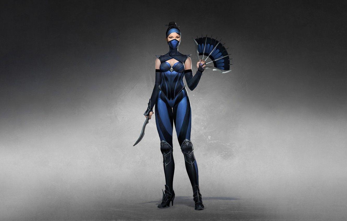 1332x850 Wallpaper Girl, Minimalism, Style, Girl, Warrior, Fighter, Style, Warrior, Fiction, Mortal Kombat, Fiction, Kitana, Kitana, Illustration, Character, Fan image for desktop, section игры
