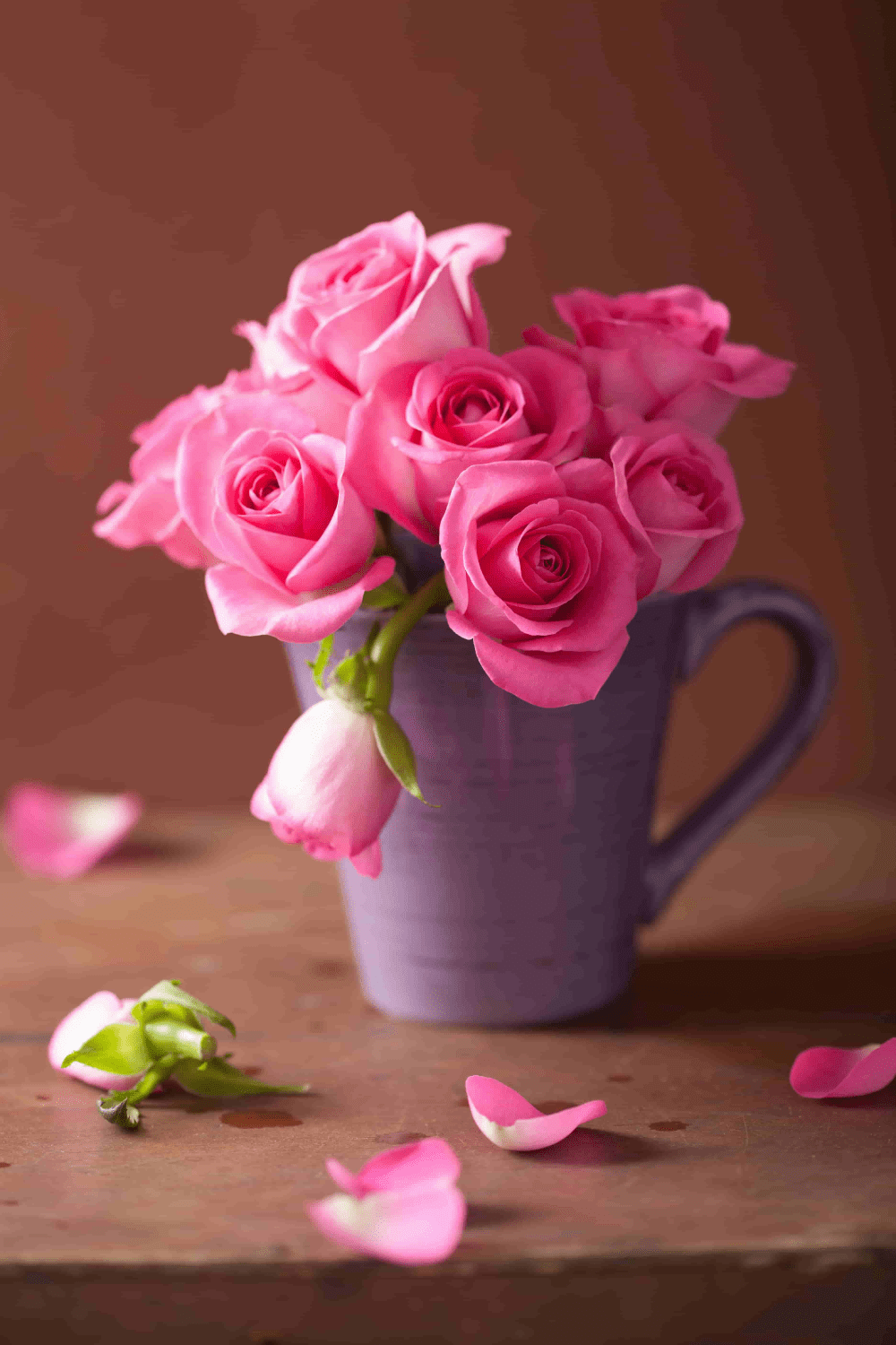 1000x1500 Rose Image. Download Rose Image In HD For Free. Az Quotes #rose # Roses #pinkrose #ros. Love Rose Flower, Beautiful Rose Flowers, Flower Background Iphone