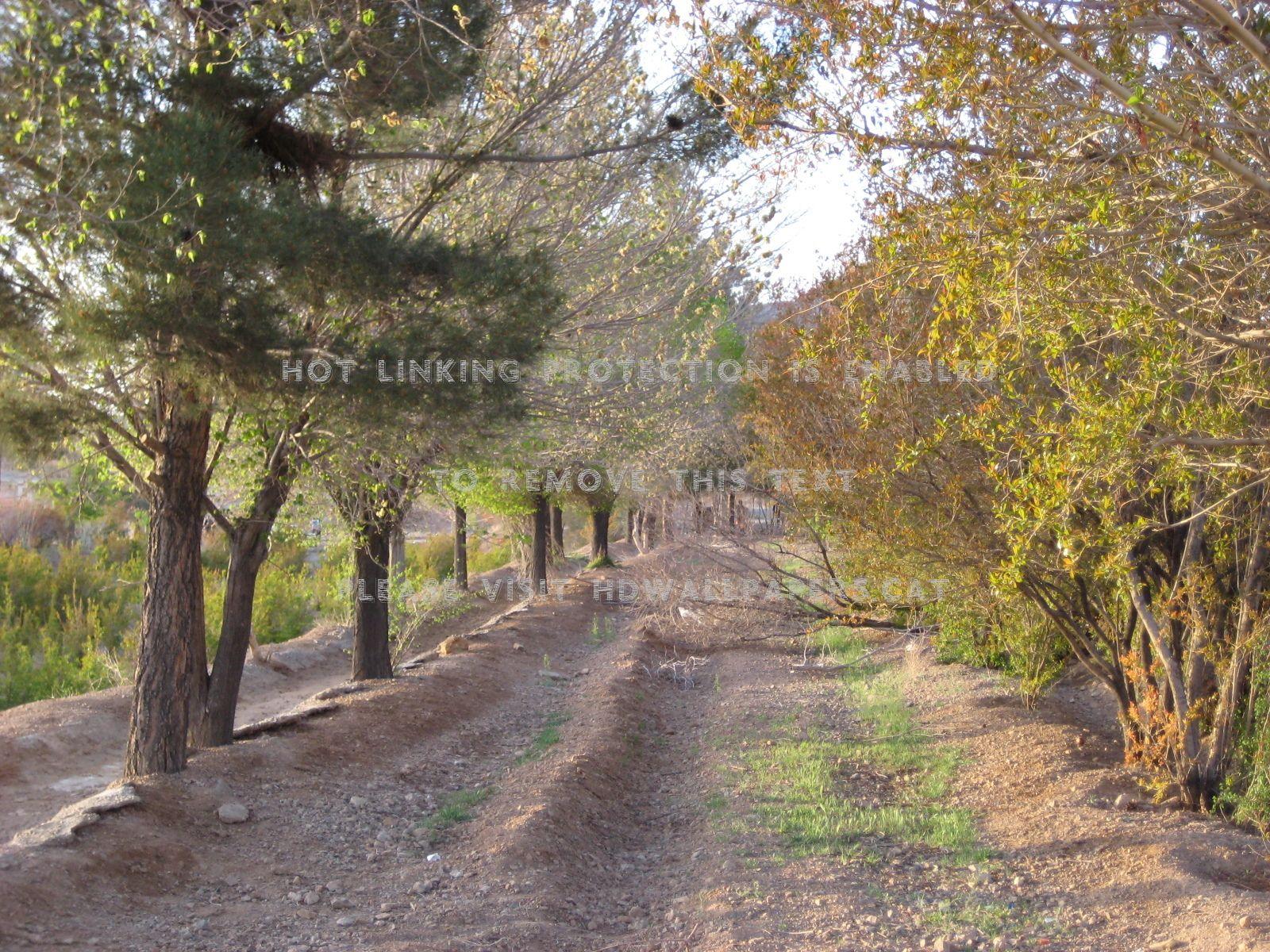 1600x1200 trees spring esfahan isfahan iran 13bedar