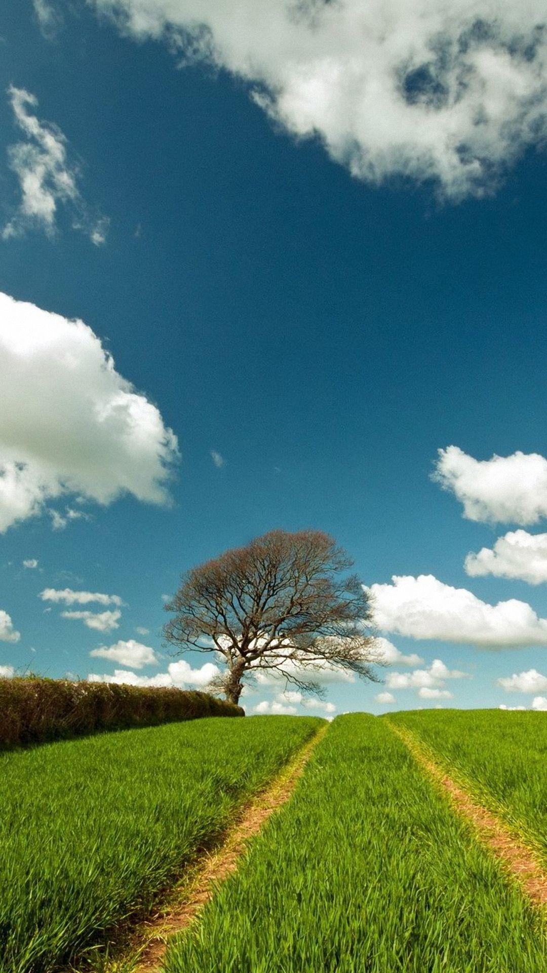 1080x1920 Hd Nature Scenery Htc One M8 Wallpaper X 1920 Nature