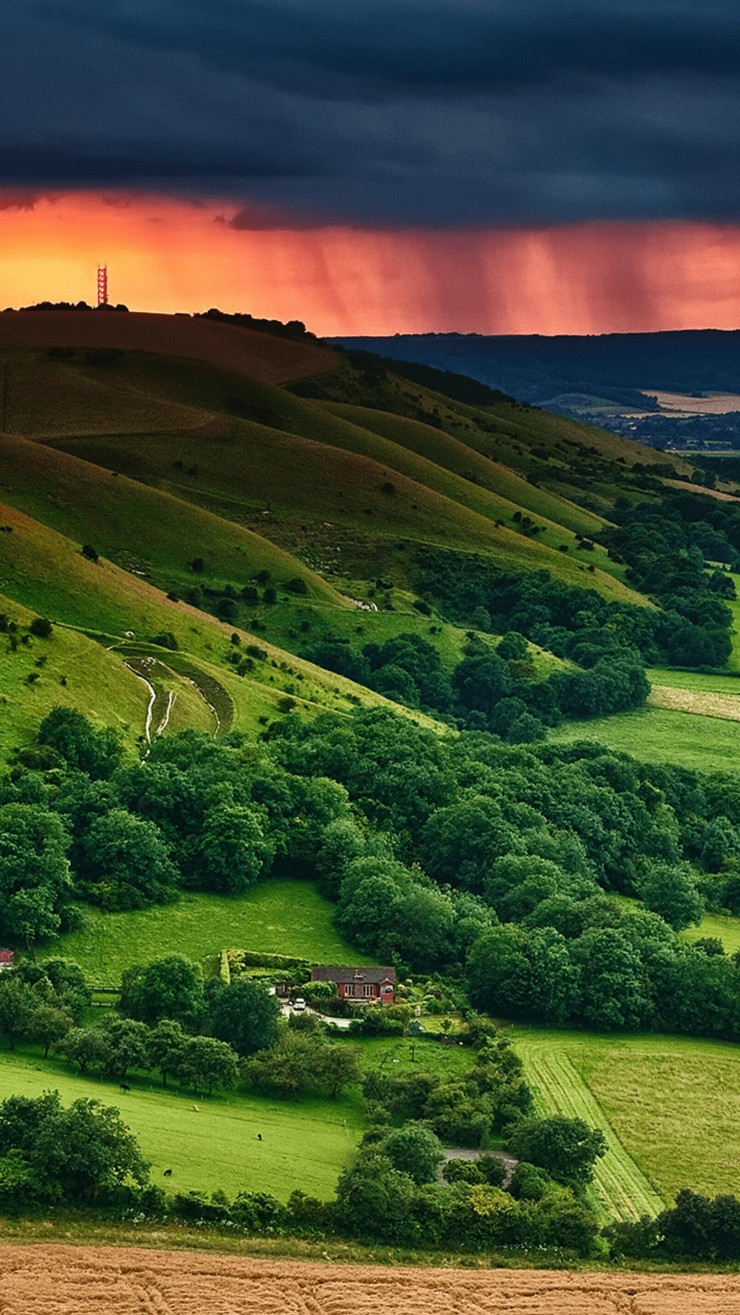 nature ambience mp3