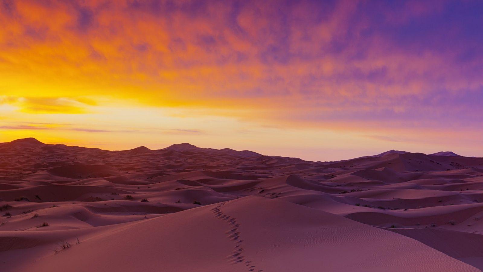 1600x900 Summer Horizon Desert Wallpaper
