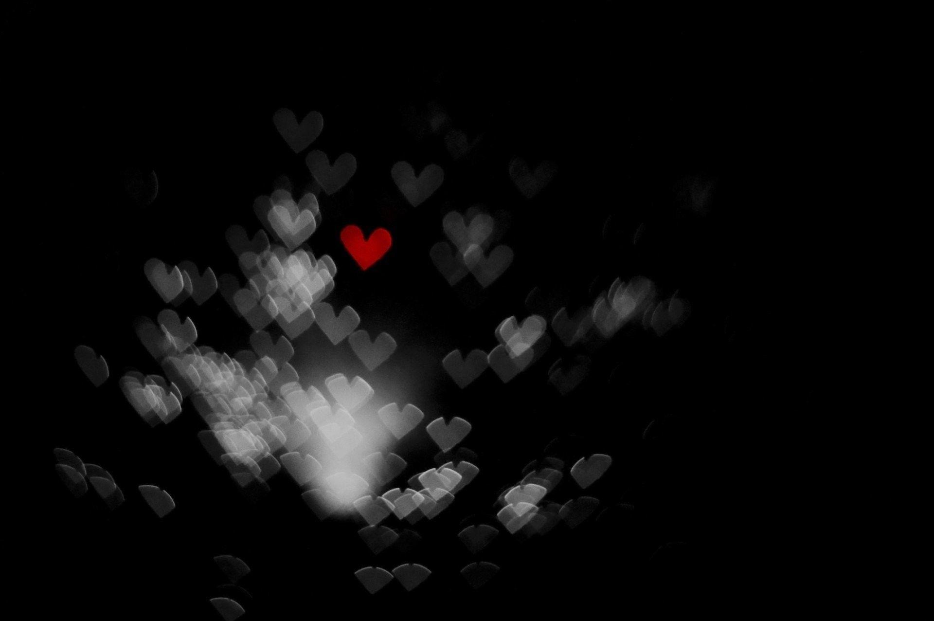 1920x1276 Cute Black and White Wallpaper