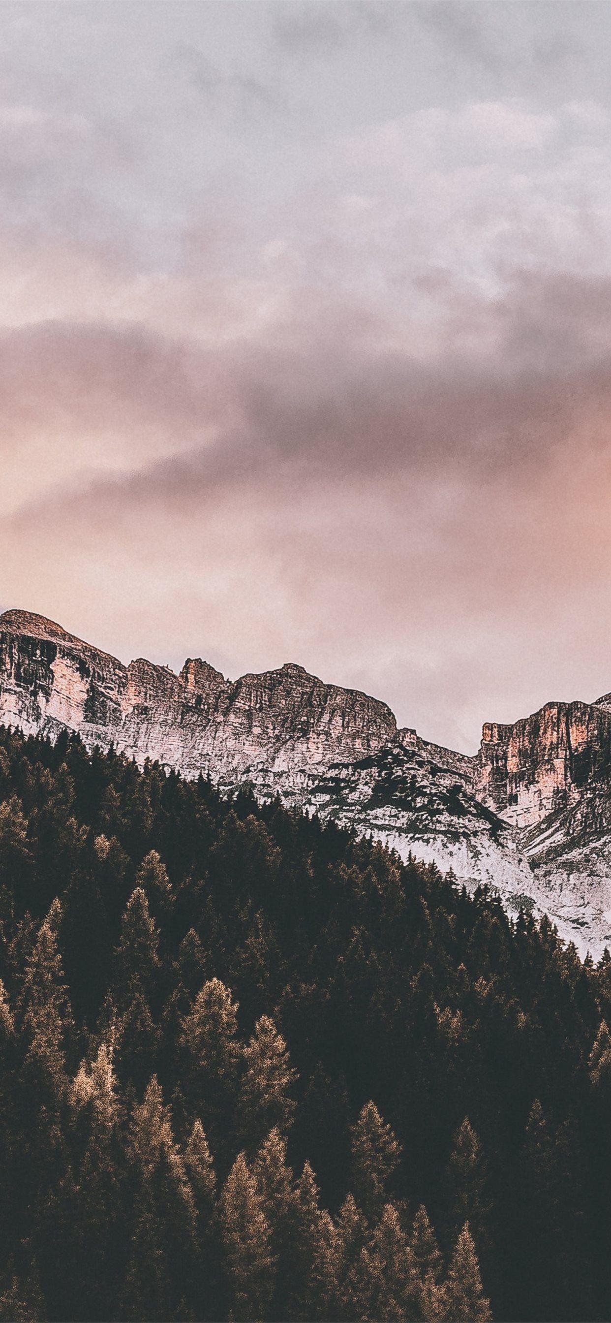 1242x2688 daylight rocky mountain landscape iPhone X Wallpaper Free Download