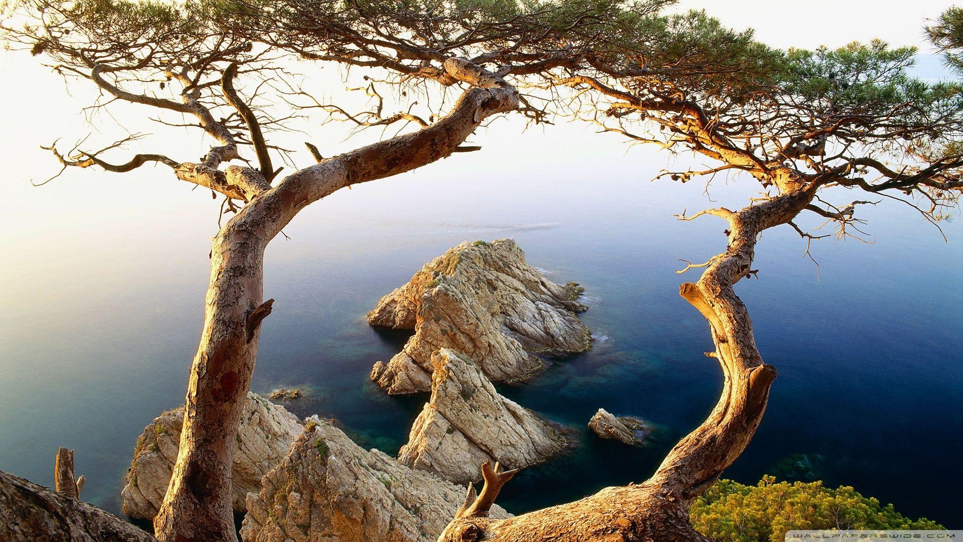 1920x1080 Download Rocky Coast Wallpaper 1920x1080
